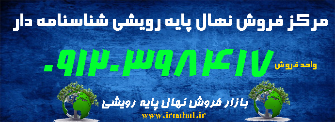    آماده سازی زمین برای کاشت درخت گردو چندلر پوست کاغذی ,احداث باغ گردو چندلر پوست کاغذی ,کاشت درخت گردو چندلر پوست کاغذی,بیماری های درخت نهال گردوی چندلر پوست کاغذی, زمین مناسب کاشت درخت نهال چندلر پوست کاغذی ,شرایط اقلیمی مناسب کاشت درخت گردو چندلر پوست کاغذی,فاصله کاشت درخت گردو چندلر پوست کاغذی,میزان آبیاری درخت گردو چندلر پوست کاغذی,کوددهی و تغذیه درخت گردو چندلر پوست کاغذی,میزان باردهی گردو چندلر پوست کاغذی در هکتار,تولید درخت نهال گردوی چندلر پوست کاغذی, آموزش پیوند زدن درخت گردو چندلر پوست کاغذی ,فروش عمده درخت گردو چندلر پوست کاغذی, لیست قیمت عمده درخت گردو چندلر پوست کاغذی,درخت نهالستان گردو چندلر پوست کاغذی , درخت نهال گردوی چندلر پوست کاغذی اصلاح شده, هرس درخت گردو چندلر پوست کاغذی ,معرفی درخت گردو چندلر پوست کاغذی, آفات و بیماری های درخت گردو چندلر پوست کاغذی, تکثیر درخت گردو چندلر پوست کاغذی, فروش درخت گردو چندلر پوست کاغذی, خرید درخت گردو چندلر پوست کاغذی,خرید عمده درخت گردو چندلر پوست کاغذی, فروش عمده درخت گردو چندلر پوست کاغذی, خرید و فروش اینترنتی درخت گردو چندلر پوست کاغذی, فروشگاه اینترنتی درخت گردو چندلر پوست کاغذی, فروشگاه آنلاین درخت گردو چندلر پوست کاغذی,خاک مناسب درخت گردو چندلر پوست کاغذی, درباره درخت گردو چندلر پوست کاغذی, بیوگرافی درخت گردو چندلر پوست کاغذی, نام علمی درخت گردو چندلر پوست کاغذی, خانواده درخت گردو چندلر پوست کاغذی,شرایط محیطی درخت گردو چندلر پوست کاغذی, قیمت درخت گردو چندلر پوست کاغذی, تولیدی درخت گردو چندلر پوست کاغذی, دمای ایده آل درخت گردو چندلر پوست کاغذی, گونه های مختلف درخت گردو چندلر پوست کاغذی,عکس و تصویر درخت گردو چندلر پوست کاغذی,زمان هرس درخت گردو چندلر پوست کاغذی,میزان آبیاری درخت گردو چندلر پوست کاغذی,قیمت نهال گردو چندلر پوست کاغذی,فروش نهال گردو چندلر پوست کاغذی,خرید نهال گردو چندلر پوست کاغذی,گردوی چندلر پوست کاغذی,کاشت درخت گردو چندلر پوست کاغذی,سمپاشی درخت گردو چندلر پوست کاغذی,احداث باغ گردو چندلر پوست کاغذی,خصوصیات درخت گردو چندلر پوست کاغذی,عکس درخت گردو چندلر پوست کاغذی,میزان باردهی درخت گردو چندلر پوست کاغذی,مشخصات درخت گردو چندلر پوست کاغذی,آفات درخت گردو چندلر پوست کاغذی,ارقام گردوی چندلر پوست کاغذی,بذر گردوی چندلر پوست کاغذی,بذر گرد چندلر پوست کاغذی,گردوی چندلر پوست کاغذی,فروش گردوی چندلر پوست کاغذی,خرید گردوی چندلر پوست کاغذی,قیمت گردوی چندلر پوست کاغذی,نهال گردوی چندلر پوست کاغذی,انواع گردوی چندلر پوست کاغذی,  نهال گردو فرانکت , نهال گردو پدرو , نهال گردو چندلر , نهال گردو لارا , نهال گردو روند , نهال گردو فرنور , نهال گردو مراغه , نهال گردو ژنوتیپ برتر مراغه , نهال گردو وینا , نهال گردودماوند , نهال گردو جمال , نهال گردو کانادایی , نهال گردو بیلجک , نهال گردو اسرائیلی , نهال گردو اسرائیلی خوشه ای , نهال گردو اسرائیلی پاکوتاه , نهال گردو اسراییلی دیرگل , نهال گردو تویسرکان , نهال گردو ضیاآبادی , نهال گردو خوشه ای فرانسوی , نهال گردو شیلی , نهال گردو پکان امریکایی , نهال گردو سجنو , نهال گردو سانلند , نهال گردو توسرخ , نهال گردو شبین , نهال گردو کاما , نهال گردو یالووا , نهال گردو پاریزین , نهال گردو تل کبوته , نهال گردو کن , نهال گردو شهمیرزاد , نهال گردو ارمنستان , نهال گردو پکان , نهال گردو پاین , نهال گردو هوارد , نهال گردو سر , نهال گردو سیسکو , نهال گردو وینا , نهال گردو جیکو , نهال گردو فرانکت شارج , نهال گردو اشلی , نهال گردو سولانو , نهال گردو استن , نهال گردو اورکا , نهال گردو جیلت , نهال گردو آیوانهو,نهال گردو , خرید نهال گردو , فروش نهال گردو , قیمت نهال گردو , نهال گردو چندلر , خرید نهال گردو چندلر , فروش نهال گردو چندلر , قیمت نهال گردو چندلر , نهال گردو فرنور , خرید نهال گردو فرنور , فروش نهال گردو فرنور , قیمت نهال گردو فرنور , نهال گردو خوشه ای , خرید نهال گردو خوشه ای , فروش نهال گردو خوشه ای , قیمت نهال گردو خوشه ای , نهال گردو اسرائیلی , خرید نهال گردو اسرائیلی , فروش نهال گردو اسرائیلی , قیمت نهال گردو اسرائیلی , ایران گردو , نهالستان گردو , نهال گردو کانادایی , خرید نهال گردو کانادایی , فروش نهال گردو کانادایی , قیمت نهال گردو کانادایی , نهال گردو پیوندی , خرید نهال گردو پیوندی , فروش نهال گردو پیوندی , قیمت نهال گردو پیوندی , نهال گردو دیرگل , خرید نهال گردو دیرگل, فروش نهال گردو دیرگل, قیمت نهال گردو دیرگل آماده سازی زمین برای کاشت درخت گردو فرانکت ,احداث باغ گردو فرانکت ,کاشت درخت گردو فرانکت,بیماری های درخت نهال گردوی فرانکت, زمین مناسب کاشت درخت نهال فرانکت ,شرایط اقلیمی مناسب کاشت درخت گردو فرانکت,فاصله کاشت درخت گردو فرانکت,میزان آبیاری درخت گردو فرانکت,کوددهی و تغذیه درخت گردو فرانکت,میزان باردهی گردو فرانکت در هکتار,تولید درخت نهال گردوی فرانکت, آموزش پیوند زدن درخت گردو فرانکت ,فروش عمده درخت گردو فرانکت, لیست قیمت عمده درخت گردو فرانکت,درخت نهالستان گردو فرانکت , درخت نهال گردوی فرانکت اصلاح شده, هرس درخت گردو فرانکت ,معرفی درخت گردو فرانکت, آفات و بیماری های درخت گردو فرانکت, تکثیر درخت گردو فرانکت, فروش درخت گردو فرانکت, خرید درخت گردو فرانکت,خرید عمده درخت گردو فرانکت, فروش عمده درخت گردو فرانکت, خرید و فروش اینترنتی درخت گردو فرانکت, فروشگاه اینترنتی درخت گردو فرانکت, فروشگاه آنلاین درخت گردو فرانکت,خاک مناسب درخت گردو فرانکت, درباره درخت گردو فرانکت, بیوگرافی درخت گردو فرانکت, نام علمی درخت گردو فرانکت, خانواده درخت گردو فرانکت,شرایط محیطی درخت گردو فرانکت, قیمت درخت گردو فرانکت, تولیدی درخت گردو فرانکت, دمای ایده آل درخت گردو فرانکت, گونه های مختلف درخت گردو فرانکت,عکس و تصویر درخت گردو فرانکت,زمان هرس درخت گردو فرانکت,میزان آبیاری درخت گردو فرانکت,قیمت نهال گردو فرانکت,فروش نهال گردو فرانکت,خرید نهال گردو فرانکت,گردوی فرانکت,کاشت درخت گردو فرانکت,سمپاشی درخت گردو فرانکت,احداث باغ گردو فرانکت,خصوصیات درخت گردو فرانکت,عکس درخت گردو فرانکت,میزان باردهی درخت گردو فرانکت,مشخصات درخت گردو فرانکت,آفات درخت گردو فرانکت,ارقام گردوی فرانکت,بذر گردوی فرانکت,بذر گرد فرانکت,گردوی فرانکت,فروش گردوی فرانکت,خرید گردوی فرانکت,قیمت گردوی فرانکت,نهال گردوی فرانکت,انواع گردوی فرانکت,  آماده سازی زمین برای کاشت درخت گردو پدرو ,احداث باغ گردو پدرو ,کاشت درخت گردو پدرو,بیماری های درخت نهال گردوی پدرو, زمین مناسب کاشت درخت نهال پدرو ,شرایط اقلیمی مناسب کاشت درخت گردو پدرو,فاصله کاشت درخت گردو پدرو,میزان آبیاری درخت گردو پدرو,کوددهی و تغذیه درخت گردو پدرو,میزان باردهی گردو پدرو در هکتار,تولید درخت نهال گردوی پدرو, آموزش پیوند زدن درخت گردو پدرو ,فروش عمده درخت گردو پدرو, لیست قیمت عمده درخت گردو پدرو,درخت نهالستان گردو پدرو , درخت نهال گردوی پدرو اصلاح شده, هرس درخت گردو پدرو ,معرفی درخت گردو پدرو, آفات و بیماری های درخت گردو پدرو, تکثیر درخت گردو پدرو, فروش درخت گردو پدرو, خرید درخت گردو پدرو,خرید عمده درخت گردو پدرو, فروش عمده درخت گردو پدرو, خرید و فروش اینترنتی درخت گردو پدرو, فروشگاه اینترنتی درخت گردو پدرو, فروشگاه آنلاین درخت گردو پدرو,خاک مناسب درخت گردو پدرو, درباره درخت گردو پدرو, بیوگرافی درخت گردو پدرو, نام علمی درخت گردو پدرو, خانواده درخت گردو پدرو,شرایط محیطی درخت گردو پدرو, قیمت درخت گردو پدرو, تولیدی درخت گردو پدرو, دمای ایده آل درخت گردو پدرو, گونه های مختلف درخت گردو پدرو,عکس و تصویر درخت گردو پدرو,زمان هرس درخت گردو پدرو,میزان آبیاری درخت گردو پدرو,قیمت نهال گردو پدرو,فروش نهال گردو پدرو,خرید نهال گردو پدرو,گردوی پدرو,کاشت درخت گردو پدرو,سمپاشی درخت گردو پدرو,احداث باغ گردو پدرو,خصوصیات درخت گردو پدرو,عکس درخت گردو پدرو,میزان باردهی درخت گردو پدرو,مشخصات درخت گردو پدرو,آفات درخت گردو پدرو,ارقام گردوی پدرو,بذر گردوی پدرو,بذر گرد پدرو,گردوی پدرو,فروش گردوی پدرو,خرید گردوی پدرو,قیمت گردوی پدرو,نهال گردوی پدرو,انواع گردوی پدرو, آماده سازی زمین برای کاشت درخت گردو لارا ,احداث باغ گردو لارا ,کاشت درخت گردو لارا,بیماری های درخت نهال گردوی لارا, زمین مناسب کاشت درخت نهال لارا ,شرایط اقلیمی مناسب کاشت درخت گردو لارا,فاصله کاشت درخت گردو لارا,میزان آبیاری درخت گردو لارا,کوددهی و تغذیه درخت گردو لارا,میزان باردهی گردو لارا در هکتار,تولید درخت نهال گردوی لارا, آموزش پیوند زدن درخت گردو لارا ,فروش عمده درخت گردو لارا, لیست قیمت عمده درخت گردو لارا,درخت نهالستان گردو لارا , درخت نهال گردوی لارا اصلاح شده, هرس درخت گردو لارا ,معرفی درخت گردو لارا, آفات و بیماری های درخت گردو لارا, تکثیر درخت گردو لارا, فروش درخت گردو لارا, خرید درخت گردو لارا,خرید عمده درخت گردو لارا, فروش عمده درخت گردو لارا, خرید و فروش اینترنتی درخت گردو لارا, فروشگاه اینترنتی درخت گردو لارا, فروشگاه آنلاین درخت گردو لارا,خاک مناسب درخت گردو لارا, درباره درخت گردو لارا, بیوگرافی درخت گردو لارا, نام علمی درخت گردو لارا, خانواده درخت گردو لارا,شرایط محیطی درخت گردو لارا, قیمت درخت گردو لارا, تولیدی درخت گردو لارا, دمای ایده آل درخت گردو لارا, گونه های مختلف درخت گردو لارا,عکس و تصویر درخت گردو لارا,زمان هرس درخت گردو لارا,میزان آبیاری درخت گردو لارا,قیمت نهال گردو لارا,فروش نهال گردو لارا,خرید نهال گردو لارا,گردوی لارا,کاشت درخت گردو لارا,سمپاشی درخت گردو لارا,احداث باغ گردو لارا,خصوصیات درخت گردو لارا,عکس درخت گردو لارا,میزان باردهی درخت گردو لارا,مشخصات درخت گردو لارا,آفات درخت گردو لارا,ارقام گردوی لارا,بذر گردوی لارا,بذر گرد لارا,گردوی لارا,فروش گردوی لارا,خرید گردوی لارا,قیمت گردوی لارا,نهال گردوی لارا,انواع گردوی لارا,  آماده سازی زمین برای کاشت درخت گردو روند ,احداث باغ گردو روند ,کاشت درخت گردو روند,بیماری های درخت نهال گردوی روند, زمین مناسب کاشت درخت نهال روند ,شرایط اقلیمی مناسب کاشت درخت گردو روند,فاصله کاشت درخت گردو روند,میزان آبیاری درخت گردو روند,کوددهی و تغذیه درخت گردو روند,میزان باردهی گردو روند در هکتار,تولید درخت نهال گردوی روند, آموزش پیوند زدن درخت گردو روند ,فروش عمده درخت گردو روند, لیست قیمت عمده درخت گردو روند,درخت نهالستان گردو روند , درخت نهال گردوی روند اصلاح شده, هرس درخت گردو روند ,معرفی درخت گردو روند, آفات و بیماری های درخت گردو روند, تکثیر درخت گردو روند, فروش درخت گردو روند, خرید درخت گردو روند,خرید عمده درخت گردو روند, فروش عمده درخت گردو روند, خرید و فروش اینترنتی درخت گردو روند, فروشگاه اینترنتی درخت گردو روند, فروشگاه آنلاین درخت گردو روند,خاک مناسب درخت گردو روند, درباره درخت گردو روند, بیوگرافی درخت گردو روند, نام علمی درخت گردو روند, خانواده درخت گردو روند,شرایط محیطی درخت گردو روند, قیمت درخت گردو روند, تولیدی درخت گردو روند, دمای ایده آل درخت گردو روند, گونه های مختلف درخت گردو روند,عکس و تصویر درخت گردو روند,زمان هرس درخت گردو روند,میزان آبیاری درخت گردو روند,قیمت نهال گردو روند,فروش نهال گردو روند,خرید نهال گردو روند,گردوی روند,کاشت درخت گردو روند,سمپاشی درخت گردو روند,احداث باغ گردو روند,خصوصیات درخت گردو روند,عکس درخت گردو روند,میزان باردهی درخت گردو روند,مشخصات درخت گردو روند,آفات درخت گردو روند,ارقام گردوی روند,بذر گردوی روند,بذر گرد روند,گردوی روند,فروش گردوی روند,خرید گردوی روند,قیمت گردوی روند,نهال گردوی روند,انواع گردوی روند,   آماده سازی زمین برای کاشت درخت گردو فرنور ,احداث باغ گردو فرنور ,کاشت درخت گردو فرنور,بیماری های درخت نهال گردوی فرنور, زمین مناسب کاشت درخت نهال فرنور ,شرایط اقلیمی مناسب کاشت درخت گردو فرنور,فاصله کاشت درخت گردو فرنور,میزان آبیاری درخت گردو فرنور,کوددهی و تغذیه درخت گردو فرنور,میزان باردهی گردو فرنور در هکتار,تولید درخت نهال گردوی فرنور, آموزش پیوند زدن درخت گردو فرنور ,فروش عمده درخت گردو فرنور, لیست قیمت عمده درخت گردو فرنور,درخت نهالستان گردو فرنور , درخت نهال گردوی فرنور اصلاح شده, هرس درخت گردو فرنور ,معرفی درخت گردو فرنور, آفات و بیماری های درخت گردو فرنور, تکثیر درخت گردو فرنور, فروش درخت گردو فرنور, خرید درخت گردو فرنور,خرید عمده درخت گردو فرنور, فروش عمده درخت گردو فرنور, خرید و فروش اینترنتی درخت گردو فرنور, فروشگاه اینترنتی درخت گردو فرنور, فروشگاه آنلاین درخت گردو فرنور,خاک مناسب درخت گردو فرنور, درباره درخت گردو فرنور, بیوگرافی درخت گردو فرنور, نام علمی درخت گردو فرنور, خانواده درخت گردو فرنور,شرایط محیطی درخت گردو فرنور, قیمت درخت گردو فرنور, تولیدی درخت گردو فرنور, دمای ایده آل درخت گردو فرنور, گونه های مختلف درخت گردو فرنور,عکس و تصویر درخت گردو فرنور,زمان هرس درخت گردو فرنور,میزان آبیاری درخت گردو فرنور,قیمت نهال گردو فرنور,فروش نهال گردو فرنور,خرید نهال گردو فرنور,گردوی فرنور,کاشت درخت گردو فرنور,سمپاشی درخت گردو فرنور,احداث باغ گردو فرنور,خصوصیات درخت گردو فرنور,عکس درخت گردو فرنور,میزان باردهی درخت گردو فرنور,مشخصات درخت گردو فرنور,آفات درخت گردو فرنور,ارقام گردوی فرنور,بذر گردوی فرنور,بذر گرد فرنور,گردوی فرنور,فروش گردوی فرنور,خرید گردوی فرنور,قیمت گردوی فرنور,نهال گردوی فرنور,انواع گردوی فرنور,  آماده سازی زمین برای کاشت درخت گردو مراغه ,احداث باغ گردو مراغه ,کاشت درخت گردو مراغه,بیماری های درخت نهال گردوی مراغه, زمین مناسب کاشت درخت نهال مراغه ,شرایط اقلیمی مناسب کاشت درخت گردو مراغه,فاصله کاشت درخت گردو مراغه,میزان آبیاری درخت گردو مراغه,کوددهی و تغذیه درخت گردو مراغه,میزان باردهی گردو مراغه در هکتار,تولید درخت نهال گردوی مراغه, آموزش پیوند زدن درخت گردو مراغه ,فروش عمده درخت گردو مراغه, لیست قیمت عمده درخت گردو مراغه,درخت نهالستان گردو مراغه , درخت نهال گردوی مراغه اصلاح شده, هرس درخت گردو مراغه ,معرفی درخت گردو مراغه, آفات و بیماری های درخت گردو مراغه, تکثیر درخت گردو مراغه, فروش درخت گردو مراغه, خرید درخت گردو مراغه,خرید عمده درخت گردو مراغه, فروش عمده درخت گردو مراغه, خرید و فروش اینترنتی درخت گردو مراغه, فروشگاه اینترنتی درخت گردو مراغه, فروشگاه آنلاین درخت گردو مراغه,خاک مناسب درخت گردو مراغه, درباره درخت گردو مراغه, بیوگرافی درخت گردو مراغه, نام علمی درخت گردو مراغه, خانواده درخت گردو مراغه,شرایط محیطی درخت گردو مراغه, قیمت درخت گردو مراغه, تولیدی درخت گردو مراغه, دمای ایده آل درخت گردو مراغه, گونه های مختلف درخت گردو مراغه,عکس و تصویر درخت گردو مراغه,زمان هرس درخت گردو مراغه,میزان آبیاری درخت گردو مراغه,قیمت نهال گردو مراغه,فروش نهال گردو مراغه,خرید نهال گردو مراغه,گردوی مراغه,کاشت درخت گردو مراغه,سمپاشی درخت گردو مراغه,احداث باغ گردو مراغه,خصوصیات درخت گردو مراغه,عکس درخت گردو مراغه,میزان باردهی درخت گردو مراغه,مشخصات درخت گردو مراغه,آفات درخت گردو مراغه,ارقام گردوی مراغه,بذر گردوی مراغه,بذر گرد مراغه,گردوی مراغه,فروش گردوی مراغه,خرید گردوی مراغه,قیمت گردوی مراغه,نهال گردوی مراغه,انواع گردوی مراغه, آماده سازی زمین برای کاشت درخت گردو ژنوتیپ برتر ,احداث باغ گردو ژنوتیپ برتر ,کاشت درخت گردو ژنوتیپ برتر,بیماری های درخت نهال گردوی ژنوتیپ برتر, زمین مناسب کاشت درخت نهال ژنوتیپ برتر ,شرایط اقلیمی مناسب کاشت درخت گردو ژنوتیپ برتر,فاصله کاشت درخت گردو ژنوتیپ برتر,میزان آبیاری درخت گردو ژنوتیپ برتر,کوددهی و تغذیه درخت گردو ژنوتیپ برتر,میزان باردهی گردو ژنوتیپ برتر در هکتار,تولید درخت نهال گردوی ژنوتیپ برتر, آموزش پیوند زدن درخت گردو ژنوتیپ برتر ,فروش عمده درخت گردو ژنوتیپ برتر, لیست قیمت عمده درخت گردو ژنوتیپ برتر,درخت نهالستان گردو ژنوتیپ برتر , درخت نهال گردوی ژنوتیپ برتر اصلاح شده, هرس درخت گردو ژنوتیپ برتر ,معرفی درخت گردو ژنوتیپ برتر, آفات و بیماری های درخت گردو ژنوتیپ برتر, تکثیر درخت گردو ژنوتیپ برتر, فروش درخت گردو ژنوتیپ برتر, خرید درخت گردو ژنوتیپ برتر,خرید عمده درخت گردو ژنوتیپ برتر, فروش عمده درخت گردو ژنوتیپ برتر, خرید و فروش اینترنتی درخت گردو ژنوتیپ برتر, فروشگاه اینترنتی درخت گردو ژنوتیپ برتر, فروشگاه آنلاین درخت گردو ژنوتیپ برتر,خاک مناسب درخت گردو ژنوتیپ برتر, درباره درخت گردو ژنوتیپ برتر, بیوگرافی درخت گردو ژنوتیپ برتر, نام علمی درخت گردو ژنوتیپ برتر, خانواده درخت گردو ژنوتیپ برتر,شرایط محیطی درخت گردو ژنوتیپ برتر, قیمت درخت گردو ژنوتیپ برتر, تولیدی درخت گردو ژنوتیپ برتر, دمای ایده آل درخت گردو ژنوتیپ برتر, گونه های مختلف درخت گردو ژنوتیپ برتر,عکس و تصویر درخت گردو ژنوتیپ برتر,زمان هرس درخت گردو ژنوتیپ برتر,میزان آبیاری درخت گردو ژنوتیپ برتر,قیمت نهال گردو ژنوتیپ برتر,فروش نهال گردو ژنوتیپ برتر,خرید نهال گردو ژنوتیپ برتر,گردوی ژنوتیپ برتر,کاشت درخت گردو ژنوتیپ برتر,سمپاشی درخت گردو ژنوتیپ برتر,احداث باغ گردو ژنوتیپ برتر,خصوصیات درخت گردو ژنوتیپ برتر,عکس درخت گردو ژنوتیپ برتر,میزان باردهی درخت گردو ژنوتیپ برتر,مشخصات درخت گردو ژنوتیپ برتر,آفات درخت گردو ژنوتیپ برتر,ارقام گردوی ژنوتیپ برتر,بذر گردوی ژنوتیپ برتر,بذر گرد ژنوتیپ برتر,گردوی ژنوتیپ برتر,فروش گردوی ژنوتیپ برتر,خرید گردوی ژنوتیپ برتر,قیمت گردوی ژنوتیپ برتر,نهال گردوی ژنوتیپ برتر,انواع گردوی ژنوتیپ برتر, آماده سازی زمین برای کاشت درخت گردو وینا ,احداث باغ گردو وینا ,کاشت درخت گردو وینا,بیماری های درخت نهال گردوی وینا, زمین مناسب کاشت درخت نهال وینا ,شرایط اقلیمی مناسب کاشت درخت گردو وینا,فاصله کاشت درخت گردو وینا,میزان آبیاری درخت گردو وینا,کوددهی و تغذیه درخت گردو وینا,میزان باردهی گردو وینا در هکتار,تولید درخت نهال گردوی وینا, آموزش پیوند زدن درخت گردو وینا ,فروش عمده درخت گردو وینا, لیست قیمت عمده درخت گردو وینا,درخت نهالستان گردو وینا , درخت نهال گردوی وینا اصلاح شده, هرس درخت گردو وینا ,معرفی درخت گردو وینا, آفات و بیماری های درخت گردو وینا, تکثیر درخت گردو وینا, فروش درخت گردو وینا, خرید درخت گردو وینا,خرید عمده درخت گردو وینا, فروش عمده درخت گردو وینا, خرید و فروش اینترنتی درخت گردو وینا, فروشگاه اینترنتی درخت گردو وینا, فروشگاه آنلاین درخت گردو وینا,خاک مناسب درخت گردو وینا, درباره درخت گردو وینا, بیوگرافی درخت گردو وینا, نام علمی درخت گردو وینا, خانواده درخت گردو وینا,شرایط محیطی درخت گردو وینا, قیمت درخت گردو وینا, تولیدی درخت گردو وینا, دمای ایده آل درخت گردو وینا, گونه های مختلف درخت گردو وینا,عکس و تصویر درخت گردو وینا,زمان هرس درخت گردو وینا,میزان آبیاری درخت گردو وینا,قیمت نهال گردو وینا,فروش نهال گردو وینا,خرید نهال گردو وینا,گردوی وینا,کاشت درخت گردو وینا,سمپاشی درخت گردو وینا,احداث باغ گردو وینا,خصوصیات درخت گردو وینا,عکس درخت گردو وینا,میزان باردهی درخت گردو وینا,مشخصات درخت گردو وینا,آفات درخت گردو وینا,ارقام گردوی وینا,بذر گردوی وینا,بذر گرد وینا,گردوی وینا,فروش گردوی وینا,خرید گردوی وینا,قیمت گردوی وینا,نهال گردوی وینا,انواع گردوی وینا, آماده سازی زمین برای کاشت درخت گردو هارتلی ,احداث باغ گردو هارتلی ,کاشت درخت گردو هارتلی,بیماری های درخت نهال گردوی هارتلی, زمین مناسب کاشت درخت نهال هارتلی ,شرایط اقلیمی مناسب کاشت درخت گردو هارتلی,فاصله کاشت درخت گردو هارتلی,میزان آبیاری درخت گردو هارتلی,کوددهی و تغذیه درخت گردو هارتلی,میزان باردهی گردو هارتلی در هکتار,تولید درخت نهال گردوی هارتلی, آموزش پیوند زدن درخت گردو هارتلی ,فروش عمده درخت گردو هارتلی, لیست قیمت عمده درخت گردو هارتلی,درخت نهالستان گردو هارتلی , درخت نهال گردوی هارتلی اصلاح شده, هرس درخت گردو هارتلی ,معرفی درخت گردو هارتلی, آفات و بیماری های درخت گردو هارتلی, تکثیر درخت گردو هارتلی, فروش درخت گردو هارتلی, خرید درخت گردو هارتلی,خرید عمده درخت گردو هارتلی, فروش عمده درخت گردو هارتلی, خرید و فروش اینترنتی درخت گردو هارتلی, فروشگاه اینترنتی درخت گردو هارتلی, فروشگاه آنلاین درخت گردو هارتلی,خاک مناسب درخت گردو هارتلی, درباره درخت گردو هارتلی, بیوگرافی درخت گردو هارتلی, نام علمی درخت گردو هارتلی, خانواده درخت گردو هارتلی,شرایط محیطی درخت گردو هارتلی, قیمت درخت گردو هارتلی, تولیدی درخت گردو هارتلی, دمای ایده آل درخت گردو هارتلی, گونه های مختلف درخت گردو هارتلی,عکس و تصویر درخت گردو هارتلی,زمان هرس درخت گردو هارتلی,میزان آبیاری درخت گردو هارتلی,قیمت نهال گردو هارتلی,فروش نهال گردو هارتلی,خرید نهال گردو هارتلی,گردوی هارتلی,کاشت درخت گردو هارتلی,سمپاشی درخت گردو هارتلی,احداث باغ گردو هارتلی,خصوصیات درخت گردو هارتلی,عکس درخت گردو هارتلی,میزان باردهی درخت گردو هارتلی,مشخصات درخت گردو هارتلی,آفات درخت گردو هارتلی,ارقام گردوی هارتلی,بذر گردوی هارتلی,بذر گرد هارتلی,گردوی هارتلی,فروش گردوی هارتلی,خرید گردوی هارتلی,قیمت گردوی هارتلی,نهال گردوی هارتلی,انواع گردوی هارتلی, آماده سازی زمین برای کاشت درخت گردو دماوند ,احداث باغ گردو دماوند ,کاشت درخت گردو دماوند,بیماری های درخت نهال گردوی دماوند, زمین مناسب کاشت درخت نهال دماوند ,شرایط اقلیمی مناسب کاشت درخت گردو دماوند,فاصله کاشت درخت گردو دماوند,میزان آبیاری درخت گردو دماوند,کوددهی و تغذیه درخت گردو دماوند,میزان باردهی گردو دماوند در هکتار,تولید درخت نهال گردوی دماوند, آموزش پیوند زدن درخت گردو دماوند ,فروش عمده درخت گردو دماوند, لیست قیمت عمده درخت گردو دماوند,درخت نهالستان گردو دماوند , درخت نهال گردوی دماوند اصلاح شده, هرس درخت گردو دماوند ,معرفی درخت گردو دماوند, آفات و بیماری های درخت گردو دماوند, تکثیر درخت گردو دماوند, فروش درخت گردو دماوند, خرید درخت گردو دماوند,خرید عمده درخت گردو دماوند, فروش عمده درخت گردو دماوند, خرید و فروش اینترنتی درخت گردو دماوند, فروشگاه اینترنتی درخت گردو دماوند, فروشگاه آنلاین درخت گردو دماوند,خاک مناسب درخت گردو دماوند, درباره درخت گردو دماوند, بیوگرافی درخت گردو دماوند, نام علمی درخت گردو دماوند, خانواده درخت گردو دماوند,شرایط محیطی درخت گردو دماوند, قیمت درخت گردو دماوند, تولیدی درخت گردو دماوند, دمای ایده آل درخت گردو دماوند, گونه های مختلف درخت گردو دماوند,عکس و تصویر درخت گردو دماوند,زمان هرس درخت گردو دماوند,میزان آبیاری درخت گردو دماوند,قیمت نهال گردو دماوند,فروش نهال گردو دماوند,خرید نهال گردو دماوند,گردوی دماوند,کاشت درخت گردو دماوند,سمپاشی درخت گردو دماوند,احداث باغ گردو دماوند,خصوصیات درخت گردو دماوند,عکس درخت گردو دماوند,میزان باردهی درخت گردو دماوند,مشخصات درخت گردو دماوند,آفات درخت گردو دماوند,ارقام گردوی دماوند,بذر گردوی دماوند,بذر گرد دماوند,گردوی دماوند,فروش گردوی دماوند,خرید گردوی دماوند,قیمت گردوی دماوند,نهال گردوی دماوند,انواع گردوی دماوند, آماده سازی زمین برای کاشت درخت گردو کانادایی ,احداث باغ گردو کانادایی ,کاشت درخت گردو کانادایی,بیماری های درخت نهال گردوی کانادایی, زمین مناسب کاشت درخت نهال کانادایی ,شرایط اقلیمی مناسب کاشت درخت گردو کانادایی,فاصله کاشت درخت گردو کانادایی,میزان آبیاری درخت گردو کانادایی,کوددهی و تغذیه درخت گردو کانادایی,میزان باردهی گردو کانادایی در هکتار,تولید درخت نهال گردوی کانادایی, آموزش پیوند زدن درخت گردو کانادایی ,فروش عمده درخت گردو کانادایی, لیست قیمت عمده درخت گردو کانادایی,درخت نهالستان گردو کانادایی , درخت نهال گردوی کانادایی اصلاح شده, هرس درخت گردو کانادایی ,معرفی درخت گردو کانادایی, آفات و بیماری های درخت گردو کانادایی, تکثیر درخت گردو کانادایی, فروش درخت گردو کانادایی, خرید درخت گردو کانادایی,خرید عمده درخت گردو کانادایی, فروش عمده درخت گردو کانادایی, خرید و فروش اینترنتی درخت گردو کانادایی, فروشگاه اینترنتی درخت گردو کانادایی, فروشگاه آنلاین درخت گردو کانادایی,خاک مناسب درخت گردو کانادایی, درباره درخت گردو کانادایی, بیوگرافی درخت گردو کانادایی, نام علمی درخت گردو کانادایی, خانواده درخت گردو کانادایی,شرایط محیطی درخت گردو کانادایی, قیمت درخت گردو کانادایی, تولیدی درخت گردو کانادایی, دمای ایده آل درخت گردو کانادایی, گونه های مختلف درخت گردو کانادایی,عکس و تصویر درخت گردو کانادایی,زمان هرس درخت گردو کانادایی,میزان آبیاری درخت گردو کانادایی,قیمت نهال گردو کانادایی,فروش نهال گردو کانادایی,خرید نهال گردو کانادایی,گردوی کانادایی,کاشت درخت گردو کانادایی,سمپاشی درخت گردو کانادایی,احداث باغ گردو کانادایی,خصوصیات درخت گردو کانادایی,عکس درخت گردو کانادایی,میزان باردهی درخت گردو کانادایی,مشخصات درخت گردو کانادایی,آفات درخت گردو کانادایی,ارقام گردوی کانادایی,بذر گردوی کانادایی,بذر گرد کانادایی,گردوی کانادایی,فروش گردوی کانادایی,خرید گردوی کانادایی,قیمت گردوی کانادایی,نهال گردوی کانادایی,انواع گردوی کانادایی, آماده سازی زمین برای کاشت درخت گردو بیلجک ,احداث باغ گردو بیلجک ,کاشت درخت گردو بیلجک,بیماری های درخت نهال گردوی بیلجک, زمین مناسب کاشت درخت نهال بیلجک ,شرایط اقلیمی مناسب کاشت درخت گردو بیلجک,فاصله کاشت درخت گردو بیلجک,میزان آبیاری درخت گردو بیلجک,کوددهی و تغذیه درخت گردو بیلجک,میزان باردهی گردو بیلجک در هکتار,تولید درخت نهال گردوی بیلجک, آموزش پیوند زدن درخت گردو بیلجک ,فروش عمده درخت گردو بیلجک, لیست قیمت عمده درخت گردو بیلجک,درخت نهالستان گردو بیلجک , درخت نهال گردوی بیلجک اصلاح شده, هرس درخت گردو بیلجک ,معرفی درخت گردو بیلجک, آفات و بیماری های درخت گردو بیلجک, تکثیر درخت گردو بیلجک, فروش درخت گردو بیلجک, خرید درخت گردو بیلجک,خرید عمده درخت گردو بیلجک, فروش عمده درخت گردو بیلجک, خرید و فروش اینترنتی درخت گردو بیلجک, فروشگاه اینترنتی درخت گردو بیلجک, فروشگاه آنلاین درخت گردو بیلجک,خاک مناسب درخت گردو بیلجک, درباره درخت گردو بیلجک, بیوگرافی درخت گردو بیلجک, نام علمی درخت گردو بیلجک, خانواده درخت گردو بیلجک,شرایط محیطی درخت گردو بیلجک, قیمت درخت گردو بیلجک, تولیدی درخت گردو بیلجک, دمای ایده آل درخت گردو بیلجک, گونه های مختلف درخت گردو بیلجک,عکس و تصویر درخت گردو بیلجک,زمان هرس درخت گردو بیلجک,میزان آبیاری درخت گردو بیلجک,قیمت نهال گردو بیلجک,فروش نهال گردو بیلجک,خرید نهال گردو بیلجک,گردوی بیلجک,کاشت درخت گردو بیلجک,سمپاشی درخت گردو بیلجک,احداث باغ گردو بیلجک,خصوصیات درخت گردو بیلجک,عکس درخت گردو بیلجک,میزان باردهی درخت گردو بیلجک,مشخصات درخت گردو بیلجک,آفات درخت گردو بیلجک,ارقام گردوی بیلجک,بذر گردوی بیلجک,بذر گرد بیلجک,گردوی بیلجک,فروش گردوی بیلجک,خرید گردوی بیلجک,قیمت گردوی بیلجک,نهال گردوی بیلجک,انواع گردوی بیلجک, آماده سازی زمین برای کاشت درخت گردو اسراییلی تخم مرغی ,احداث باغ گردو اسراییلی تخم مرغی ,کاشت درخت گردو اسراییلی تخم مرغی,بیماری های درخت نهال گردوی اسراییلی تخم مرغی, زمین مناسب کاشت درخت نهال اسراییلی تخم مرغی ,شرایط اقلیمی مناسب کاشت درخت گردو اسراییلی تخم مرغی,فاصله کاشت درخت گردو اسراییلی تخم مرغی,میزان آبیاری درخت گردو اسراییلی تخم مرغی,کوددهی و تغذیه درخت گردو اسراییلی تخم مرغی,میزان باردهی گردو اسراییلی تخم مرغی در هکتار,تولید درخت نهال گردوی اسراییلی تخم مرغی, آموزش پیوند زدن درخت گردو اسراییلی تخم مرغی ,فروش عمده درخت گردو اسراییلی تخم مرغی, لیست قیمت عمده درخت گردو اسراییلی تخم مرغی,درخت نهالستان گردو اسراییلی تخم مرغی , درخت نهال گردوی اسراییلی تخم مرغی اصلاح شده, هرس درخت گردو اسراییلی تخم مرغی ,معرفی درخت گردو اسراییلی تخم مرغی, آفات و بیماری های درخت گردو اسراییلی تخم مرغی, تکثیر درخت گردو اسراییلی تخم مرغی, فروش درخت گردو اسراییلی تخم مرغی, خرید درخت گردو اسراییلی تخم مرغی,خرید عمده درخت گردو اسراییلی تخم مرغی, فروش عمده درخت گردو اسراییلی تخم مرغی, خرید و فروش اینترنتی درخت گردو اسراییلی تخم مرغی, فروشگاه اینترنتی درخت گردو اسراییلی تخم مرغی, فروشگاه آنلاین درخت گردو اسراییلی تخم مرغی,خاک مناسب درخت گردو اسراییلی تخم مرغی, درباره درخت گردو اسراییلی تخم مرغی, بیوگرافی درخت گردو اسراییلی تخم مرغی, نام علمی درخت گردو اسراییلی تخم مرغی, خانواده درخت گردو اسراییلی تخم مرغی,شرایط محیطی درخت گردو اسراییلی تخم مرغی, قیمت درخت گردو اسراییلی تخم مرغی, تولیدی درخت گردو اسراییلی تخم مرغی, دمای ایده آل درخت گردو اسراییلی تخم مرغی, گونه های مختلف درخت گردو اسراییلی تخم مرغی,عکس و تصویر درخت گردو اسراییلی تخم مرغی,زمان هرس درخت گردو اسراییلی تخم مرغی,میزان آبیاری درخت گردو اسراییلی تخم مرغی,قیمت نهال گردو اسراییلی تخم مرغی,فروش نهال گردو اسراییلی تخم مرغی,خرید نهال گردو اسراییلی تخم مرغی,گردوی اسراییلی تخم مرغی,کاشت درخت گردو اسراییلی تخم مرغی,سمپاشی درخت گردو اسراییلی تخم مرغی,احداث باغ گردو اسراییلی تخم مرغی,خصوصیات درخت گردو اسراییلی تخم مرغی,عکس درخت گردو اسراییلی تخم مرغی,میزان باردهی درخت گردو اسراییلی تخم مرغی,مشخصات درخت گردو اسراییلی تخم مرغی,آفات درخت گردو اسراییلی تخم مرغی,ارقام گردوی اسراییلی تخم مرغی,بذر گردوی اسراییلی تخم مرغی,بذر گرد اسراییلی تخم مرغی,گردوی اسراییلی تخم مرغی,فروش گردوی اسراییلی تخم مرغی,خرید گردوی اسراییلی تخم مرغی,قیمت گردوی اسراییلی تخم مرغی,نهال گردوی اسراییلی تخم مرغی,انواع گردوی اسراییلی تخم مرغی, آماده سازی زمین برای کاشت درخت گردو اسراییلی تخم مرغی ,احداث باغ گردو اسراییلی تخم مرغی ,کاشت درخت گردو اسراییلی تخم مرغی,بیماری های درخت نهال گردوی اسراییلی تخم مرغی, زمین مناسب کاشت درخت نهال اسراییلی تخم مرغی ,شرایط اقلیمی مناسب کاشت درخت گردو اسراییلی تخم مرغی,فاصله کاشت درخت گردو اسراییلی تخم مرغی,میزان آبیاری درخت گردو اسراییلی تخم مرغی,کوددهی و تغذیه درخت گردو اسراییلی تخم مرغی,میزان باردهی گردو اسراییلی تخم مرغی در هکتار,تولید درخت نهال گردوی اسراییلی تخم مرغی, آموزش پیوند زدن درخت گردو اسراییلی تخم مرغی ,فروش عمده درخت گردو اسراییلی تخم مرغی, لیست قیمت عمده درخت گردو اسراییلی تخم مرغی,درخت نهالستان گردو اسراییلی تخم مرغی , درخت نهال گردوی اسراییلی تخم مرغی اصلاح شده, هرس درخت گردو اسراییلی تخم مرغی ,معرفی درخت گردو اسراییلی تخم مرغی, آفات و بیماری های درخت گردو اسراییلی تخم مرغی, تکثیر درخت گردو اسراییلی تخم مرغی, فروش درخت گردو اسراییلی تخم مرغی, خرید درخت گردو اسراییلی تخم مرغی,خرید عمده درخت گردو اسراییلی تخم مرغی, فروش عمده درخت گردو اسراییلی تخم مرغی, خرید و فروش اینترنتی درخت گردو اسراییلی تخم مرغی, فروشگاه اینترنتی درخت گردو اسراییلی تخم مرغی, فروشگاه آنلاین درخت گردو اسراییلی تخم مرغی,خاک مناسب درخت گردو اسراییلی تخم مرغی, درباره درخت گردو اسراییلی تخم مرغی, بیوگرافی درخت گردو اسراییلی تخم مرغی, نام علمی درخت گردو اسراییلی تخم مرغی, خانواده درخت گردو اسراییلی تخم مرغی,شرایط محیطی درخت گردو اسراییلی تخم مرغی, قیمت درخت گردو اسراییلی تخم مرغی, تولیدی درخت گردو اسراییلی تخم مرغی, دمای ایده آل درخت گردو اسراییلی تخم مرغی, گونه های مختلف درخت گردو اسراییلی تخم مرغی,عکس و تصویر درخت گردو اسراییلی تخم مرغی,زمان هرس درخت گردو اسراییلی تخم مرغی,میزان آبیاری درخت گردو اسراییلی تخم مرغی,قیمت نهال گردو اسراییلی تخم مرغی,فروش نهال گردو اسراییلی تخم مرغی,خرید نهال گردو اسراییلی تخم مرغی,گردوی اسراییلی تخم مرغی,کاشت درخت گردو اسراییلی تخم مرغی,سمپاشی درخت گردو اسراییلی تخم مرغی,احداث باغ گردو اسراییلی تخم مرغی,خصوصیات درخت گردو اسراییلی تخم مرغی,عکس درخت گردو اسراییلی تخم مرغی,میزان باردهی درخت گردو اسراییلی تخم مرغی,مشخصات درخت گردو اسراییلی تخم مرغی,آفات درخت گردو اسراییلی تخم مرغی,ارقام گردوی اسراییلی تخم مرغی,بذر گردوی اسراییلی تخم مرغی,بذر گرد اسراییلی تخم مرغی,گردوی اسراییلی تخم مرغی,فروش گردوی اسراییلی تخم مرغی,خرید گردوی اسراییلی تخم مرغی,قیمت گردوی اسراییلی تخم مرغی,نهال گردوی اسراییلی تخم مرغی,انواع گردوی اسراییلی تخم مرغی, آماده سازی زمین برای کاشت درخت گردو اسراییلی خوشه ای ,احداث باغ گردو اسراییلی خوشه ای ,کاشت درخت گردو اسراییلی خوشه ای,بیماری های درخت نهال گردوی اسراییلی خوشه ای, زمین مناسب کاشت درخت نهال اسراییلی خوشه ای ,شرایط اقلیمی مناسب کاشت درخت گردو اسراییلی خوشه ای,فاصله کاشت درخت گردو اسراییلی خوشه ای,میزان آبیاری درخت گردو اسراییلی خوشه ای,کوددهی و تغذیه درخت گردو اسراییلی خوشه ای,میزان باردهی گردو اسراییلی خوشه ای در هکتار,تولید درخت نهال گردوی اسراییلی خوشه ای, آموزش پیوند زدن درخت گردو اسراییلی خوشه ای ,فروش عمده درخت گردو اسراییلی خوشه ای, لیست قیمت عمده درخت گردو اسراییلی خوشه ای,درخت نهالستان گردو اسراییلی خوشه ای , درخت نهال گردوی اسراییلی خوشه ای اصلاح شده, هرس درخت گردو اسراییلی خوشه ای ,معرفی درخت گردو اسراییلی خوشه ای, آفات و بیماری های درخت گردو اسراییلی خوشه ای, تکثیر درخت گردو اسراییلی خوشه ای, فروش درخت گردو اسراییلی خوشه ای, خرید درخت گردو اسراییلی خوشه ای,خرید عمده درخت گردو اسراییلی خوشه ای, فروش عمده درخت گردو اسراییلی خوشه ای, خرید و فروش اینترنتی درخت گردو اسراییلی خوشه ای, فروشگاه اینترنتی درخت گردو اسراییلی خوشه ای, فروشگاه آنلاین درخت گردو اسراییلی خوشه ای,خاک مناسب درخت گردو اسراییلی خوشه ای, درباره درخت گردو اسراییلی خوشه ای, بیوگرافی درخت گردو اسراییلی خوشه ای, نام علمی درخت گردو اسراییلی خوشه ای, خانواده درخت گردو اسراییلی خوشه ای,شرایط محیطی درخت گردو اسراییلی خوشه ای, قیمت درخت گردو اسراییلی خوشه ای, تولیدی درخت گردو اسراییلی خوشه ای, دمای ایده آل درخت گردو اسراییلی خوشه ای, گونه های مختلف درخت گردو اسراییلی خوشه ای,عکس و تصویر درخت گردو اسراییلی خوشه ای,زمان هرس درخت گردو اسراییلی خوشه ای,میزان آبیاری درخت گردو اسراییلی خوشه ای,قیمت نهال گردو اسراییلی خوشه ای,فروش نهال گردو اسراییلی خوشه ای,خرید نهال گردو اسراییلی خوشه ای,گردوی اسراییلی خوشه ای,کاشت درخت گردو اسراییلی خوشه ای,سمپاشی درخت گردو اسراییلی خوشه ای,احداث باغ گردو اسراییلی خوشه ای,خصوصیات درخت گردو اسراییلی خوشه ای,عکس درخت گردو اسراییلی خوشه ای,میزان باردهی درخت گردو اسراییلی خوشه ای,مشخصات درخت گردو اسراییلی خوشه ای,آفات درخت گردو اسراییلی خوشه ای,ارقام گردوی اسراییلی خوشه ای,بذر گردوی اسراییلی خوشه ای,بذر گرد اسراییلی خوشه ای,گردوی اسراییلی خوشه ای,فروش گردوی اسراییلی خوشه ای,خرید گردوی اسراییلی خوشه ای,قیمت گردوی اسراییلی خوشه ای,نهال گردوی اسراییلی خوشه ای,انواع گردوی اسراییلی خوشه ای, آماده سازی زمین برای کاشت درخت گردو اسراییلی پاکوتاه ,احداث باغ گردو اسراییلی پاکوتاه ,کاشت درخت گردو اسراییلی پاکوتاه,بیماری های درخت نهال گردوی اسراییلی پاکوتاه, زمین مناسب کاشت درخت نهال اسراییلی پاکوتاه ,شرایط اقلیمی مناسب کاشت درخت گردو اسراییلی پاکوتاه,فاصله کاشت درخت گردو اسراییلی پاکوتاه,میزان آبیاری درخت گردو اسراییلی پاکوتاه,کوددهی و تغذیه درخت گردو اسراییلی پاکوتاه,میزان باردهی گردو اسراییلی پاکوتاه در هکتار,تولید درخت نهال گردوی اسراییلی پاکوتاه, آموزش پیوند زدن درخت گردو اسراییلی پاکوتاه ,فروش عمده درخت گردو اسراییلی پاکوتاه, لیست قیمت عمده درخت گردو اسراییلی پاکوتاه,درخت نهالستان گردو اسراییلی پاکوتاه , درخت نهال گردوی اسراییلی پاکوتاه اصلاح شده, هرس درخت گردو اسراییلی پاکوتاه ,معرفی درخت گردو اسراییلی پاکوتاه, آفات و بیماری های درخت گردو اسراییلی پاکوتاه, تکثیر درخت گردو اسراییلی پاکوتاه, فروش درخت گردو اسراییلی پاکوتاه, خرید درخت گردو اسراییلی پاکوتاه,خرید عمده درخت گردو اسراییلی پاکوتاه, فروش عمده درخت گردو اسراییلی پاکوتاه, خرید و فروش اینترنتی درخت گردو اسراییلی پاکوتاه, فروشگاه اینترنتی درخت گردو اسراییلی پاکوتاه, فروشگاه آنلاین درخت گردو اسراییلی پاکوتاه,خاک مناسب درخت گردو اسراییلی پاکوتاه, درباره درخت گردو اسراییلی پاکوتاه, بیوگرافی درخت گردو اسراییلی پاکوتاه, نام علمی درخت گردو اسراییلی پاکوتاه, خانواده درخت گردو اسراییلی پاکوتاه,شرایط محیطی درخت گردو اسراییلی پاکوتاه, قیمت درخت گردو اسراییلی پاکوتاه, تولیدی درخت گردو اسراییلی پاکوتاه, دمای ایده آل درخت گردو اسراییلی پاکوتاه, گونه های مختلف درخت گردو اسراییلی پاکوتاه,عکس و تصویر درخت گردو اسراییلی پاکوتاه,زمان هرس درخت گردو اسراییلی پاکوتاه,میزان آبیاری درخت گردو اسراییلی پاکوتاه,قیمت نهال گردو اسراییلی پاکوتاه,فروش نهال گردو اسراییلی پاکوتاه,خرید نهال گردو اسراییلی پاکوتاه,گردوی اسراییلی پاکوتاه,کاشت درخت گردو اسراییلی پاکوتاه,سمپاشی درخت گردو اسراییلی پاکوتاه,احداث باغ گردو اسراییلی پاکوتاه,خصوصیات درخت گردو اسراییلی پاکوتاه,عکس درخت گردو اسراییلی پاکوتاه,میزان باردهی درخت گردو اسراییلی پاکوتاه,مشخصات درخت گردو اسراییلی پاکوتاه,آفات درخت گردو اسراییلی پاکوتاه,ارقام گردوی اسراییلی پاکوتاه,بذر گردوی اسراییلی پاکوتاه,بذر گرد اسراییلی پاکوتاه,گردوی اسراییلی پاکوتاه,فروش گردوی اسراییلی پاکوتاه,خرید گردوی اسراییلی پاکوتاه,قیمت گردوی اسراییلی پاکوتاه,نهال گردوی اسراییلی پاکوتاه,انواع گردوی اسراییلی پاکوتاه, آماده سازی زمین برای کاشت درخت گردو اسراییلی دیرگل ,احداث باغ گردو اسراییلی دیرگل ,کاشت درخت گردو اسراییلی دیرگل,بیماری های درخت نهال گردوی اسراییلی دیرگل, زمین مناسب کاشت درخت نهال اسراییلی دیرگل ,شرایط اقلیمی مناسب کاشت درخت گردو اسراییلی دیرگل,فاصله کاشت درخت گردو اسراییلی دیرگل,میزان آبیاری درخت گردو اسراییلی دیرگل,کوددهی و تغذیه درخت گردو اسراییلی دیرگل,میزان باردهی گردو اسراییلی دیرگل در هکتار,تولید درخت نهال گردوی اسراییلی دیرگل, آموزش پیوند زدن درخت گردو اسراییلی دیرگل ,فروش عمده درخت گردو اسراییلی دیرگل, لیست قیمت عمده درخت گردو اسراییلی دیرگل,درخت نهالستان گردو اسراییلی دیرگل , درخت نهال گردوی اسراییلی دیرگل اصلاح شده, هرس درخت گردو اسراییلی دیرگل ,معرفی درخت گردو اسراییلی دیرگل, آفات و بیماری های درخت گردو اسراییلی دیرگل, تکثیر درخت گردو اسراییلی دیرگل, فروش درخت گردو اسراییلی دیرگل, خرید درخت گردو اسراییلی دیرگل,خرید عمده درخت گردو اسراییلی دیرگل, فروش عمده درخت گردو اسراییلی دیرگل, خرید و فروش اینترنتی درخت گردو اسراییلی دیرگل, فروشگاه اینترنتی درخت گردو اسراییلی دیرگل, فروشگاه آنلاین درخت گردو اسراییلی دیرگل,خاک مناسب درخت گردو اسراییلی دیرگل, درباره درخت گردو اسراییلی دیرگل, بیوگرافی درخت گردو اسراییلی دیرگل, نام علمی درخت گردو اسراییلی دیرگل, خانواده درخت گردو اسراییلی دیرگل,شرایط محیطی درخت گردو اسراییلی دیرگل, قیمت درخت گردو اسراییلی دیرگل, تولیدی درخت گردو اسراییلی دیرگل, دمای ایده آل درخت گردو اسراییلی دیرگل, گونه های مختلف درخت گردو اسراییلی دیرگل,عکس و تصویر درخت گردو اسراییلی دیرگل,زمان هرس درخت گردو اسراییلی دیرگل,میزان آبیاری درخت گردو اسراییلی دیرگل,قیمت نهال گردو اسراییلی دیرگل,فروش نهال گردو اسراییلی دیرگل,خرید نهال گردو اسراییلی دیرگل,گردوی اسراییلی دیرگل,کاشت درخت گردو اسراییلی دیرگل,سمپاشی درخت گردو اسراییلی دیرگل,احداث باغ گردو اسراییلی دیرگل,خصوصیات درخت گردو اسراییلی دیرگل,عکس درخت گردو اسراییلی دیرگل,میزان باردهی درخت گردو اسراییلی دیرگل,مشخصات درخت گردو اسراییلی دیرگل,آفات درخت گردو اسراییلی دیرگل,ارقام گردوی اسراییلی دیرگل,بذر گردوی اسراییلی دیرگل,بذر گرد اسراییلی دیرگل,گردوی اسراییلی دیرگل,فروش گردوی اسراییلی دیرگل,خرید گردوی اسراییلی دیرگل,قیمت گردوی اسراییلی دیرگل,نهال گردوی اسراییلی دیرگل,انواع گردوی اسراییلی دیرگل, آماده سازی زمین برای کاشت درخت گردو ضیاآبادی ,احداث باغ گردو ضیاآبادی ,کاشت درخت گردو ضیاآبادی,بیماری های درخت نهال گردوی ضیاآبادی, زمین مناسب کاشت درخت نهال ضیاآبادی ,شرایط اقلیمی مناسب کاشت درخت گردو ضیاآبادی,فاصله کاشت درخت گردو ضیاآبادی,میزان آبیاری درخت گردو ضیاآبادی,کوددهی و تغذیه درخت گردو ضیاآبادی,میزان باردهی گردو ضیاآبادی در هکتار,تولید درخت نهال گردوی ضیاآبادی, آموزش پیوند زدن درخت گردو ضیاآبادی ,فروش عمده درخت گردو ضیاآبادی, لیست قیمت عمده درخت گردو ضیاآبادی,درخت نهالستان گردو ضیاآبادی , درخت نهال گردوی ضیاآبادی اصلاح شده, هرس درخت گردو ضیاآبادی ,معرفی درخت گردو ضیاآبادی, آفات و بیماری های درخت گردو ضیاآبادی, تکثیر درخت گردو ضیاآبادی, فروش درخت گردو ضیاآبادی, خرید درخت گردو ضیاآبادی,خرید عمده درخت گردو ضیاآبادی, فروش عمده درخت گردو ضیاآبادی, خرید و فروش اینترنتی درخت گردو ضیاآبادی, فروشگاه اینترنتی درخت گردو ضیاآبادی, فروشگاه آنلاین درخت گردو ضیاآبادی,خاک مناسب درخت گردو ضیاآبادی, درباره درخت گردو ضیاآبادی, بیوگرافی درخت گردو ضیاآبادی, نام علمی درخت گردو ضیاآبادی, خانواده درخت گردو ضیاآبادی,شرایط محیطی درخت گردو ضیاآبادی, قیمت درخت گردو ضیاآبادی, تولیدی درخت گردو ضیاآبادی, دمای ایده آل درخت گردو ضیاآبادی, گونه های مختلف درخت گردو ضیاآبادی,عکس و تصویر درخت گردو ضیاآبادی,زمان هرس درخت گردو ضیاآبادی,میزان آبیاری درخت گردو ضیاآبادی,قیمت نهال گردو ضیاآبادی,فروش نهال گردو ضیاآبادی,خرید نهال گردو ضیاآبادی,گردوی ضیاآبادی,کاشت درخت گردو ضیاآبادی,سمپاشی درخت گردو ضیاآبادی,احداث باغ گردو ضیاآبادی,خصوصیات درخت گردو ضیاآبادی,عکس درخت گردو ضیاآبادی,میزان باردهی درخت گردو ضیاآبادی,مشخصات درخت گردو ضیاآبادی,آفات درخت گردو ضیاآبادی,ارقام گردوی ضیاآبادی,بذر گردوی ضیاآبادی,بذر گرد ضیاآبادی,گردوی ضیاآبادی,فروش گردوی ضیاآبادی,خرید گردوی ضیاآبادی,قیمت گردوی ضیاآبادی,نهال گردوی ضیاآبادی,انواع گردوی ضیاآبادی, آماده سازی زمین برای کاشت درخت گردو تویسرکان ,احداث باغ گردو تویسرکان ,کاشت درخت گردو تویسرکان,بیماری های درخت نهال گردوی تویسرکان, زمین مناسب کاشت درخت نهال تویسرکان ,شرایط اقلیمی مناسب کاشت درخت گردو تویسرکان,فاصله کاشت درخت گردو تویسرکان,میزان آبیاری درخت گردو تویسرکان,کوددهی و تغذیه درخت گردو تویسرکان,میزان باردهی گردو تویسرکان در هکتار,تولید درخت نهال گردوی تویسرکان, آموزش پیوند زدن درخت گردو تویسرکان ,فروش عمده درخت گردو تویسرکان, لیست قیمت عمده درخت گردو تویسرکان,درخت نهالستان گردو تویسرکان , درخت نهال گردوی تویسرکان اصلاح شده, هرس درخت گردو تویسرکان ,معرفی درخت گردو تویسرکان, آفات و بیماری های درخت گردو تویسرکان, تکثیر درخت گردو تویسرکان, فروش درخت گردو تویسرکان, خرید درخت گردو تویسرکان,خرید عمده درخت گردو تویسرکان, فروش عمده درخت گردو تویسرکان, خرید و فروش اینترنتی درخت گردو تویسرکان, فروشگاه اینترنتی درخت گردو تویسرکان, فروشگاه آنلاین درخت گردو تویسرکان,خاک مناسب درخت گردو تویسرکان, درباره درخت گردو تویسرکان, بیوگرافی درخت گردو تویسرکان, نام علمی درخت گردو تویسرکان, خانواده درخت گردو تویسرکان,شرایط محیطی درخت گردو تویسرکان, قیمت درخت گردو تویسرکان, تولیدی درخت گردو تویسرکان, دمای ایده آل درخت گردو تویسرکان, گونه های مختلف درخت گردو تویسرکان,عکس و تصویر درخت گردو تویسرکان,زمان هرس درخت گردو تویسرکان,میزان آبیاری درخت گردو تویسرکان,قیمت نهال گردو تویسرکان,فروش نهال گردو تویسرکان,خرید نهال گردو تویسرکان,گردوی تویسرکان,کاشت درخت گردو تویسرکان,سمپاشی درخت گردو تویسرکان,احداث باغ گردو تویسرکان,خصوصیات درخت گردو تویسرکان,عکس درخت گردو تویسرکان,میزان باردهی درخت گردو تویسرکان,مشخصات درخت گردو تویسرکان,آفات درخت گردو تویسرکان,ارقام گردوی تویسرکان,بذر گردوی تویسرکان,بذر گرد تویسرکان,گردوی تویسرکان,فروش گردوی تویسرکان,خرید گردوی تویسرکان,قیمت گردوی تویسرکان,نهال گردوی تویسرکان,انواع گردوی تویسرکان, آماده سازی زمین برای کاشت درخت گردو خوشه ای فرانسوی ,احداث باغ گردو خوشه ای فرانسوی ,کاشت درخت گردو خوشه ای فرانسوی,بیماری های درخت نهال گردوی خوشه ای فرانسوی, زمین مناسب کاشت درخت نهال خوشه ای فرانسوی ,شرایط اقلیمی مناسب کاشت درخت گردو خوشه ای فرانسوی,فاصله کاشت درخت گردو خوشه ای فرانسوی,میزان آبیاری درخت گردو خوشه ای فرانسوی,کوددهی و تغذیه درخت گردو خوشه ای فرانسوی,میزان باردهی گردو خوشه ای فرانسوی در هکتار,تولید درخت نهال گردوی خوشه ای فرانسوی, آموزش پیوند زدن درخت گردو خوشه ای فرانسوی ,فروش عمده درخت گردو خوشه ای فرانسوی, لیست قیمت عمده درخت گردو خوشه ای فرانسوی,درخت نهالستان گردو خوشه ای فرانسوی , درخت نهال گردوی خوشه ای فرانسوی اصلاح شده, هرس درخت گردو خوشه ای فرانسوی ,معرفی درخت گردو خوشه ای فرانسوی, آفات و بیماری های درخت گردو خوشه ای فرانسوی, تکثیر درخت گردو خوشه ای فرانسوی, فروش درخت گردو خوشه ای فرانسوی, خرید درخت گردو خوشه ای فرانسوی,خرید عمده درخت گردو خوشه ای فرانسوی, فروش عمده درخت گردو خوشه ای فرانسوی, خرید و فروش اینترنتی درخت گردو خوشه ای فرانسوی, فروشگاه اینترنتی درخت گردو خوشه ای فرانسوی, فروشگاه آنلاین درخت گردو خوشه ای فرانسوی,خاک مناسب درخت گردو خوشه ای فرانسوی, درباره درخت گردو خوشه ای فرانسوی, بیوگرافی درخت گردو خوشه ای فرانسوی, نام علمی درخت گردو خوشه ای فرانسوی, خانواده درخت گردو خوشه ای فرانسوی,شرایط محیطی درخت گردو خوشه ای فرانسوی, قیمت درخت گردو خوشه ای فرانسوی, تولیدی درخت گردو خوشه ای فرانسوی, دمای ایده آل درخت گردو خوشه ای فرانسوی, گونه های مختلف درخت گردو خوشه ای فرانسوی,عکس و تصویر درخت گردو خوشه ای فرانسوی,زمان هرس درخت گردو خوشه ای فرانسوی,میزان آبیاری درخت گردو خوشه ای فرانسوی,قیمت نهال گردو خوشه ای فرانسوی,فروش نهال گردو خوشه ای فرانسوی,خرید نهال گردو خوشه ای فرانسوی,گردوی خوشه ای فرانسوی,کاشت درخت گردو خوشه ای فرانسوی,سمپاشی درخت گردو خوشه ای فرانسوی,احداث باغ گردو خوشه ای فرانسوی,خصوصیات درخت گردو خوشه ای فرانسوی,عکس درخت گردو خوشه ای فرانسوی,میزان باردهی درخت گردو خوشه ای فرانسوی,مشخصات درخت گردو خوشه ای فرانسوی,آفات درخت گردو خوشه ای فرانسوی,ارقام گردوی خوشه ای فرانسوی,بذر گردوی خوشه ای فرانسوی,بذر گرد خوشه ای فرانسوی,گردوی خوشه ای فرانسوی,فروش گردوی خوشه ای فرانسوی,خرید گردوی خوشه ای فرانسوی,قیمت گردوی خوشه ای فرانسوی,نهال گردوی خوشه ای فرانسوی,انواع گردوی خوشه ای فرانسوی, آماده سازی زمین برای کاشت درخت گردو شیلی ,احداث باغ گردو شیلی ,کاشت درخت گردو شیلی,بیماری های درخت نهال گردوی شیلی, زمین مناسب کاشت درخت نهال شیلی ,شرایط اقلیمی مناسب کاشت درخت گردو شیلی,فاصله کاشت درخت گردو شیلی,میزان آبیاری درخت گردو شیلی,کوددهی و تغذیه درخت گردو شیلی,میزان باردهی گردو شیلی در هکتار,تولید درخت نهال گردوی شیلی, آموزش پیوند زدن درخت گردو شیلی ,فروش عمده درخت گردو شیلی, لیست قیمت عمده درخت گردو شیلی,درخت نهالستان گردو شیلی , درخت نهال گردوی شیلی اصلاح شده, هرس درخت گردو شیلی ,معرفی درخت گردو شیلی, آفات و بیماری های درخت گردو شیلی, تکثیر درخت گردو شیلی, فروش درخت گردو شیلی, خرید درخت گردو شیلی,خرید عمده درخت گردو شیلی, فروش عمده درخت گردو شیلی, خرید و فروش اینترنتی درخت گردو شیلی, فروشگاه اینترنتی درخت گردو شیلی, فروشگاه آنلاین درخت گردو شیلی,خاک مناسب درخت گردو شیلی, درباره درخت گردو شیلی, بیوگرافی درخت گردو شیلی, نام علمی درخت گردو شیلی, خانواده درخت گردو شیلی,شرایط محیطی درخت گردو شیلی, قیمت درخت گردو شیلی, تولیدی درخت گردو شیلی, دمای ایده آل درخت گردو شیلی, گونه های مختلف درخت گردو شیلی,عکس و تصویر درخت گردو شیلی,زمان هرس درخت گردو شیلی,میزان آبیاری درخت گردو شیلی,قیمت نهال گردو شیلی,فروش نهال گردو شیلی,خرید نهال گردو شیلی,گردوی شیلی,کاشت درخت گردو شیلی,سمپاشی درخت گردو شیلی,احداث باغ گردو شیلی,خصوصیات درخت گردو شیلی,عکس درخت گردو شیلی,میزان باردهی درخت گردو شیلی,مشخصات درخت گردو شیلی,آفات درخت گردو شیلی,ارقام گردوی شیلی,بذر گردوی شیلی,بذر گرد شیلی,گردوی شیلی,فروش گردوی شیلی,خرید گردوی شیلی,قیمت گردوی شیلی,نهال گردوی شیلی,انواع گردوی شیلی, آماده سازی زمین برای کاشت درخت گردو پکان امریکایی ,احداث باغ گردو پکان امریکایی ,کاشت درخت گردو پکان امریکایی,بیماری های درخت نهال گردوی پکان امریکایی, زمین مناسب کاشت درخت نهال پکان امریکایی ,شرایط اقلیمی مناسب کاشت درخت گردو پکان امریکایی,فاصله کاشت درخت گردو پکان امریکایی,میزان آبیاری درخت گردو پکان امریکایی,کوددهی و تغذیه درخت گردو پکان امریکایی,میزان باردهی گردو پکان امریکایی در هکتار,تولید درخت نهال گردوی پکان امریکایی, آموزش پیوند زدن درخت گردو پکان امریکایی ,فروش عمده درخت گردو پکان امریکایی, لیست قیمت عمده درخت گردو پکان امریکایی,درخت نهالستان گردو پکان امریکایی , درخت نهال گردوی پکان امریکایی اصلاح شده, هرس درخت گردو پکان امریکایی ,معرفی درخت گردو پکان امریکایی, آفات و بیماری های درخت گردو پکان امریکایی, تکثیر درخت گردو پکان امریکایی, فروش درخت گردو پکان امریکایی, خرید درخت گردو پکان امریکایی,خرید عمده درخت گردو پکان امریکایی, فروش عمده درخت گردو پکان امریکایی, خرید و فروش اینترنتی درخت گردو پکان امریکایی, فروشگاه اینترنتی درخت گردو پکان امریکایی, فروشگاه آنلاین درخت گردو پکان امریکایی,خاک مناسب درخت گردو پکان امریکایی, درباره درخت گردو پکان امریکایی, بیوگرافی درخت گردو پکان امریکایی, نام علمی درخت گردو پکان امریکایی, خانواده درخت گردو پکان امریکایی,شرایط محیطی درخت گردو پکان امریکایی, قیمت درخت گردو پکان امریکایی, تولیدی درخت گردو پکان امریکایی, دمای ایده آل درخت گردو پکان امریکایی, گونه های مختلف درخت گردو پکان امریکایی,عکس و تصویر درخت گردو پکان امریکایی,زمان هرس درخت گردو پکان امریکایی,میزان آبیاری درخت گردو پکان امریکایی,قیمت نهال گردو پکان امریکایی,فروش نهال گردو پکان امریکایی,خرید نهال گردو پکان امریکایی,گردوی پکان امریکایی,کاشت درخت گردو پکان امریکایی,سمپاشی درخت گردو پکان امریکایی,احداث باغ گردو پکان امریکایی,خصوصیات درخت گردو پکان امریکایی,عکس درخت گردو پکان امریکایی,میزان باردهی درخت گردو پکان امریکایی,مشخصات درخت گردو پکان امریکایی,آفات درخت گردو پکان امریکایی,ارقام گردوی پکان امریکایی,بذر گردوی پکان امریکایی,بذر گرد پکان امریکایی,گردوی پکان امریکایی,فروش گردوی پکان امریکایی,خرید گردوی پکان امریکایی,قیمت گردوی پکان امریکایی,نهال گردوی پکان امریکایی,انواع گردوی پکان امریکایی, آماده سازی زمین برای کاشت درخت گردو سجنو ,احداث باغ گردو سجنو ,کاشت درخت گردو سجنو,بیماری های درخت نهال گردوی سجنو, زمین مناسب کاشت درخت نهال سجنو ,شرایط اقلیمی مناسب کاشت درخت گردو سجنو,فاصله کاشت درخت گردو سجنو,میزان آبیاری درخت گردو سجنو,کوددهی و تغذیه درخت گردو سجنو,میزان باردهی گردو سجنو در هکتار,تولید درخت نهال گردوی سجنو, آموزش پیوند زدن درخت گردو سجنو ,فروش عمده درخت گردو سجنو, لیست قیمت عمده درخت گردو سجنو,درخت نهالستان گردو سجنو , درخت نهال گردوی سجنو اصلاح شده, هرس درخت گردو سجنو ,معرفی درخت گردو سجنو, آفات و بیماری های درخت گردو سجنو, تکثیر درخت گردو سجنو, فروش درخت گردو سجنو, خرید درخت گردو سجنو,خرید عمده درخت گردو سجنو, فروش عمده درخت گردو سجنو, خرید و فروش اینترنتی درخت گردو سجنو, فروشگاه اینترنتی درخت گردو سجنو, فروشگاه آنلاین درخت گردو سجنو,خاک مناسب درخت گردو سجنو, درباره درخت گردو سجنو, بیوگرافی درخت گردو سجنو, نام علمی درخت گردو سجنو, خانواده درخت گردو سجنو,شرایط محیطی درخت گردو سجنو, قیمت درخت گردو سجنو, تولیدی درخت گردو سجنو, دمای ایده آل درخت گردو سجنو, گونه های مختلف درخت گردو سجنو,عکس و تصویر درخت گردو سجنو,زمان هرس درخت گردو سجنو,میزان آبیاری درخت گردو سجنو,قیمت نهال گردو سجنو,فروش نهال گردو سجنو,خرید نهال گردو سجنو,گردوی سجنو,کاشت درخت گردو سجنو,سمپاشی درخت گردو سجنو,احداث باغ گردو سجنو,خصوصیات درخت گردو سجنو,عکس درخت گردو سجنو,میزان باردهی درخت گردو سجنو,مشخصات درخت گردو سجنو,آفات درخت گردو سجنو,ارقام گردوی سجنو,بذر گردوی سجنو,بذر گرد سجنو,گردوی سجنو,فروش گردوی سجنو,خرید گردوی سجنو,قیمت گردوی سجنو,نهال گردوی سجنو,انواع گردوی سجنو, آماده سازی زمین برای کاشت درخت گردو سانلند ,احداث باغ گردو سانلند ,کاشت درخت گردو سانلند,بیماری های درخت نهال گردوی سانلند, زمین مناسب کاشت درخت نهال سانلند ,شرایط اقلیمی مناسب کاشت درخت گردو سانلند,فاصله کاشت درخت گردو سانلند,میزان آبیاری درخت گردو سانلند,کوددهی و تغذیه درخت گردو سانلند,میزان باردهی گردو سانلند در هکتار,تولید درخت نهال گردوی سانلند, آموزش پیوند زدن درخت گردو سانلند ,فروش عمده درخت گردو سانلند, لیست قیمت عمده درخت گردو سانلند,درخت نهالستان گردو سانلند , درخت نهال گردوی سانلند اصلاح شده, هرس درخت گردو سانلند ,معرفی درخت گردو سانلند, آفات و بیماری های درخت گردو سانلند, تکثیر درخت گردو سانلند, فروش درخت گردو سانلند, خرید درخت گردو سانلند,خرید عمده درخت گردو سانلند, فروش عمده درخت گردو سانلند, خرید و فروش اینترنتی درخت گردو سانلند, فروشگاه اینترنتی درخت گردو سانلند, فروشگاه آنلاین درخت گردو سانلند,خاک مناسب درخت گردو سانلند, درباره درخت گردو سانلند, بیوگرافی درخت گردو سانلند, نام علمی درخت گردو سانلند, خانواده درخت گردو سانلند,شرایط محیطی درخت گردو سانلند, قیمت درخت گردو سانلند, تولیدی درخت گردو سانلند, دمای ایده آل درخت گردو سانلند, گونه های مختلف درخت گردو سانلند,عکس و تصویر درخت گردو سانلند,زمان هرس درخت گردو سانلند,میزان آبیاری درخت گردو سانلند,قیمت نهال گردو سانلند,فروش نهال گردو سانلند,خرید نهال گردو سانلند,گردوی سانلند,کاشت درخت گردو سانلند,سمپاشی درخت گردو سانلند,احداث باغ گردو سانلند,خصوصیات درخت گردو سانلند,عکس درخت گردو سانلند,میزان باردهی درخت گردو سانلند,مشخصات درخت گردو سانلند,آفات درخت گردو سانلند,ارقام گردوی سانلند,بذر گردوی سانلند,بذر گرد سانلند,گردوی سانلند,فروش گردوی سانلند,خرید گردوی سانلند,قیمت گردوی سانلند,نهال گردوی سانلند,انواع گردوی سانلند, آماده سازی زمین برای کاشت درخت گردو شبین ,احداث باغ گردو شبین ,کاشت درخت گردو شبین,بیماری های درخت نهال گردوی شبین, زمین مناسب کاشت درخت نهال شبین ,شرایط اقلیمی مناسب کاشت درخت گردو شبین,فاصله کاشت درخت گردو شبین,میزان آبیاری درخت گردو شبین,کوددهی و تغذیه درخت گردو شبین,میزان باردهی گردو شبین در هکتار,تولید درخت نهال گردوی شبین, آموزش پیوند زدن درخت گردو شبین ,فروش عمده درخت گردو شبین, لیست قیمت عمده درخت گردو شبین,درخت نهالستان گردو شبین , درخت نهال گردوی شبین اصلاح شده, هرس درخت گردو شبین ,معرفی درخت گردو شبین, آفات و بیماری های درخت گردو شبین, تکثیر درخت گردو شبین, فروش درخت گردو شبین, خرید درخت گردو شبین,خرید عمده درخت گردو شبین, فروش عمده درخت گردو شبین, خرید و فروش اینترنتی درخت گردو شبین, فروشگاه اینترنتی درخت گردو شبین, فروشگاه آنلاین درخت گردو شبین,خاک مناسب درخت گردو شبین, درباره درخت گردو شبین, بیوگرافی درخت گردو شبین, نام علمی درخت گردو شبین, خانواده درخت گردو شبین,شرایط محیطی درخت گردو شبین, قیمت درخت گردو شبین, تولیدی درخت گردو شبین, دمای ایده آل درخت گردو شبین, گونه های مختلف درخت گردو شبین,عکس و تصویر درخت گردو شبین,زمان هرس درخت گردو شبین,میزان آبیاری درخت گردو شبین,قیمت نهال گردو شبین,فروش نهال گردو شبین,خرید نهال گردو شبین,گردوی شبین,کاشت درخت گردو شبین,سمپاشی درخت گردو شبین,احداث باغ گردو شبین,خصوصیات درخت گردو شبین,عکس درخت گردو شبین,میزان باردهی درخت گردو شبین,مشخصات درخت گردو شبین,آفات درخت گردو شبین,ارقام گردوی شبین,بذر گردوی شبین,بذر گرد شبین,گردوی شبین,فروش گردوی شبین,خرید گردوی شبین,قیمت گردوی شبین,نهال گردوی شبین,انواع گردوی شبین, آماده سازی زمین برای کاشت درخت گردو کاما ,احداث باغ گردو کاما ,کاشت درخت گردو کاما,بیماری های درخت نهال گردوی کاما, زمین مناسب کاشت درخت نهال کاما ,شرایط اقلیمی مناسب کاشت درخت گردو کاما,فاصله کاشت درخت گردو کاما,میزان آبیاری درخت گردو کاما,کوددهی و تغذیه درخت گردو کاما,میزان باردهی گردو کاما در هکتار,تولید درخت نهال گردوی کاما, آموزش پیوند زدن درخت گردو کاما ,فروش عمده درخت گردو کاما, لیست قیمت عمده درخت گردو کاما,درخت نهالستان گردو کاما , درخت نهال گردوی کاما اصلاح شده, هرس درخت گردو کاما ,معرفی درخت گردو کاما, آفات و بیماری های درخت گردو کاما, تکثیر درخت گردو کاما, فروش درخت گردو کاما, خرید درخت گردو کاما,خرید عمده درخت گردو کاما, فروش عمده درخت گردو کاما, خرید و فروش اینترنتی درخت گردو کاما, فروشگاه اینترنتی درخت گردو کاما, فروشگاه آنلاین درخت گردو کاما,خاک مناسب درخت گردو کاما, درباره درخت گردو کاما, بیوگرافی درخت گردو کاما, نام علمی درخت گردو کاما, خانواده درخت گردو کاما,شرایط محیطی درخت گردو کاما, قیمت درخت گردو کاما, تولیدی درخت گردو کاما, دمای ایده آل درخت گردو کاما, گونه های مختلف درخت گردو کاما,عکس و تصویر درخت گردو کاما,زمان هرس درخت گردو کاما,میزان آبیاری درخت گردو کاما,قیمت نهال گردو کاما,فروش نهال گردو کاما,خرید نهال گردو کاما,گردوی کاما,کاشت درخت گردو کاما,سمپاشی درخت گردو کاما,احداث باغ گردو کاما,خصوصیات درخت گردو کاما,عکس درخت گردو کاما,میزان باردهی درخت گردو کاما,مشخصات درخت گردو کاما,آفات درخت گردو کاما,ارقام گردوی کاما,بذر گردوی کاما,بذر گرد کاما,گردوی کاما,فروش گردوی کاما,خرید گردوی کاما,قیمت گردوی کاما,نهال گردوی کاما,انواع گردوی کاما, آماده سازی زمین برای کاشت درخت گردو یالووا ,احداث باغ گردو یالووا ,کاشت درخت گردو یالووا,بیماری های درخت نهال گردوی یالووا, زمین مناسب کاشت درخت نهال یالووا ,شرایط اقلیمی مناسب کاشت درخت گردو یالووا,فاصله کاشت درخت گردو یالووا,میزان آبیاری درخت گردو یالووا,کوددهی و تغذیه درخت گردو یالووا,میزان باردهی گردو یالووا در هکتار,تولید درخت نهال گردوی یالووا, آموزش پیوند زدن درخت گردو یالووا ,فروش عمده درخت گردو یالووا, لیست قیمت عمده درخت گردو یالووا,درخت نهالستان گردو یالووا , درخت نهال گردوی یالووا اصلاح شده, هرس درخت گردو یالووا ,معرفی درخت گردو یالووا, آفات و بیماری های درخت گردو یالووا, تکثیر درخت گردو یالووا, فروش درخت گردو یالووا, خرید درخت گردو یالووا,خرید عمده درخت گردو یالووا, فروش عمده درخت گردو یالووا, خرید و فروش اینترنتی درخت گردو یالووا, فروشگاه اینترنتی درخت گردو یالووا, فروشگاه آنلاین درخت گردو یالووا,خاک مناسب درخت گردو یالووا, درباره درخت گردو یالووا, بیوگرافی درخت گردو یالووا, نام علمی درخت گردو یالووا, خانواده درخت گردو یالووا,شرایط محیطی درخت گردو یالووا, قیمت درخت گردو یالووا, تولیدی درخت گردو یالووا, دمای ایده آل درخت گردو یالووا, گونه های مختلف درخت گردو یالووا,عکس و تصویر درخت گردو یالووا,زمان هرس درخت گردو یالووا,میزان آبیاری درخت گردو یالووا,قیمت نهال گردو یالووا,فروش نهال گردو یالووا,خرید نهال گردو یالووا,گردوی یالووا,کاشت درخت گردو یالووا,سمپاشی درخت گردو یالووا,احداث باغ گردو یالووا,خصوصیات درخت گردو یالووا,عکس درخت گردو یالووا,میزان باردهی درخت گردو یالووا,مشخصات درخت گردو یالووا,آفات درخت گردو یالووا,ارقام گردوی یالووا,بذر گردوی یالووا,بذر گرد یالووا,گردوی یالووا,فروش گردوی یالووا,خرید گردوی یالووا,قیمت گردوی یالووا,نهال گردوی یالووا,انواع گردوی یالووا, آماده سازی زمین برای کاشت درخت گردو پاریزین ,احداث باغ گردو پاریزین ,کاشت درخت گردو پاریزین,بیماری های درخت نهال گردوی پاریزین, زمین مناسب کاشت درخت نهال پاریزین ,شرایط اقلیمی مناسب کاشت درخت گردو پاریزین,فاصله کاشت درخت گردو پاریزین,میزان آبیاری درخت گردو پاریزین,کوددهی و تغذیه درخت گردو پاریزین,میزان باردهی گردو پاریزین در هکتار,تولید درخت نهال گردوی پاریزین, آموزش پیوند زدن درخت گردو پاریزین ,فروش عمده درخت گردو پاریزین, لیست قیمت عمده درخت گردو پاریزین,درخت نهالستان گردو پاریزین , درخت نهال گردوی پاریزین اصلاح شده, هرس درخت گردو پاریزین ,معرفی درخت گردو پاریزین, آفات و بیماری های درخت گردو پاریزین, تکثیر درخت گردو پاریزین, فروش درخت گردو پاریزین, خرید درخت گردو پاریزین,خرید عمده درخت گردو پاریزین, فروش عمده درخت گردو پاریزین, خرید و فروش اینترنتی درخت گردو پاریزین, فروشگاه اینترنتی درخت گردو پاریزین, فروشگاه آنلاین درخت گردو پاریزین,خاک مناسب درخت گردو پاریزین, درباره درخت گردو پاریزین, بیوگرافی درخت گردو پاریزین, نام علمی درخت گردو پاریزین, خانواده درخت گردو پاریزین,شرایط محیطی درخت گردو پاریزین, قیمت درخت گردو پاریزین, تولیدی درخت گردو پاریزین, دمای ایده آل درخت گردو پاریزین, گونه های مختلف درخت گردو پاریزین,عکس و تصویر درخت گردو پاریزین,زمان هرس درخت گردو پاریزین,میزان آبیاری درخت گردو پاریزین,قیمت نهال گردو پاریزین,فروش نهال گردو پاریزین,خرید نهال گردو پاریزین,گردوی پاریزین,کاشت درخت گردو پاریزین,سمپاشی درخت گردو پاریزین,احداث باغ گردو پاریزین,خصوصیات درخت گردو پاریزین,عکس درخت گردو پاریزین,میزان باردهی درخت گردو پاریزین,مشخصات درخت گردو پاریزین,آفات درخت گردو پاریزین,ارقام گردوی پاریزین,بذر گردوی پاریزین,بذر گرد پاریزین,گردوی پاریزین,فروش گردوی پاریزین,خرید گردوی پاریزین,قیمت گردوی پاریزین,نهال گردوی پاریزین,انواع گردوی پاریزین, آماده سازی زمین برای کاشت درخت گردو احمد بابا ,احداث باغ گردو احمد بابا ,کاشت درخت گردو احمد بابا,بیماری های درخت نهال گردوی احمد بابا, زمین مناسب کاشت درخت نهال احمد بابا ,شرایط اقلیمی مناسب کاشت درخت گردو احمد بابا,فاصله کاشت درخت گردو احمد بابا,میزان آبیاری درخت گردو احمد بابا,کوددهی و تغذیه درخت گردو احمد بابا,میزان باردهی گردو احمد بابا در هکتار,تولید درخت نهال گردوی احمد بابا, آموزش پیوند زدن درخت گردو احمد بابا ,فروش عمده درخت گردو احمد بابا, لیست قیمت عمده درخت گردو احمد بابا,درخت نهالستان گردو احمد بابا , درخت نهال گردوی احمد بابا اصلاح شده, هرس درخت گردو احمد بابا ,معرفی درخت گردو احمد بابا, آفات و بیماری های درخت گردو احمد بابا, تکثیر درخت گردو احمد بابا, فروش درخت گردو احمد بابا, خرید درخت گردو احمد بابا,خرید عمده درخت گردو احمد بابا, فروش عمده درخت گردو احمد بابا, خرید و فروش اینترنتی درخت گردو احمد بابا, فروشگاه اینترنتی درخت گردو احمد بابا, فروشگاه آنلاین درخت گردو احمد بابا,خاک مناسب درخت گردو احمد بابا, درباره درخت گردو احمد بابا, بیوگرافی درخت گردو احمد بابا, نام علمی درخت گردو احمد بابا, خانواده درخت گردو احمد بابا,شرایط محیطی درخت گردو احمد بابا, قیمت درخت گردو احمد بابا, تولیدی درخت گردو احمد بابا, دمای ایده آل درخت گردو احمد بابا, گونه های مختلف درخت گردو احمد بابا,عکس و تصویر درخت گردو احمد بابا,زمان هرس درخت گردو احمد بابا,میزان آبیاری درخت گردو احمد بابا,قیمت نهال گردو احمد بابا,فروش نهال گردو احمد بابا,خرید نهال گردو احمد بابا,گردوی احمد بابا,کاشت درخت گردو احمد بابا,سمپاشی درخت گردو احمد بابا,احداث باغ گردو احمد بابا,خصوصیات درخت گردو احمد بابا,عکس درخت گردو احمد بابا,میزان باردهی درخت گردو احمد بابا,مشخصات درخت گردو احمد بابا,آفات درخت گردو احمد بابا,ارقام گردوی احمد بابا,بذر گردوی احمد بابا,بذر گرد احمد بابا,گردوی احمد بابا,فروش گردوی احمد بابا,خرید گردوی احمد بابا,قیمت گردوی احمد بابا,نهال گردوی احمد بابا,انواع گردوی احمد بابا, آماده سازی زمین برای کاشت درخت گردو تل کبوته ,احداث باغ گردو تل کبوته ,کاشت درخت گردو تل کبوته,بیماری های درخت نهال گردوی تل کبوته, زمین مناسب کاشت درخت نهال تل کبوته ,شرایط اقلیمی مناسب کاشت درخت گردو تل کبوته,فاصله کاشت درخت گردو تل کبوته,میزان آبیاری درخت گردو تل کبوته,کوددهی و تغذیه درخت گردو تل کبوته,میزان باردهی گردو تل کبوته در هکتار,تولید درخت نهال گردوی تل کبوته, آموزش پیوند زدن درخت گردو تل کبوته ,فروش عمده درخت گردو تل کبوته, لیست قیمت عمده درخت گردو تل کبوته,درخت نهالستان گردو تل کبوته , درخت نهال گردوی تل کبوته اصلاح شده, هرس درخت گردو تل کبوته ,معرفی درخت گردو تل کبوته, آفات و بیماری های درخت گردو تل کبوته, تکثیر درخت گردو تل کبوته, فروش درخت گردو تل کبوته, خرید درخت گردو تل کبوته,خرید عمده درخت گردو تل کبوته, فروش عمده درخت گردو تل کبوته, خرید و فروش اینترنتی درخت گردو تل کبوته, فروشگاه اینترنتی درخت گردو تل کبوته, فروشگاه آنلاین درخت گردو تل کبوته,خاک مناسب درخت گردو تل کبوته, درباره درخت گردو تل کبوته, بیوگرافی درخت گردو تل کبوته, نام علمی درخت گردو تل کبوته, خانواده درخت گردو تل کبوته,شرایط محیطی درخت گردو تل کبوته, قیمت درخت گردو تل کبوته, تولیدی درخت گردو تل کبوته, دمای ایده آل درخت گردو تل کبوته, گونه های مختلف درخت گردو تل کبوته,عکس و تصویر درخت گردو تل کبوته,زمان هرس درخت گردو تل کبوته,میزان آبیاری درخت گردو تل کبوته,قیمت نهال گردو تل کبوته,فروش نهال گردو تل کبوته,خرید نهال گردو تل کبوته,گردوی تل کبوته,کاشت درخت گردو تل کبوته,سمپاشی درخت گردو تل کبوته,احداث باغ گردو تل کبوته,خصوصیات درخت گردو تل کبوته,عکس درخت گردو تل کبوته,میزان باردهی درخت گردو تل کبوته,مشخصات درخت گردو تل کبوته,آفات درخت گردو تل کبوته,ارقام گردوی تل کبوته,بذر گردوی تل کبوته,بذر گرد تل کبوته,گردوی تل کبوته,فروش گردوی تل کبوته,خرید گردوی تل کبوته,قیمت گردوی تل کبوته,نهال گردوی تل کبوته,انواع گردوی تل کبوته, آماده سازی زمین برای کاشت درخت گردو سیبان ,احداث باغ گردو سیبان ,کاشت درخت گردو سیبان,بیماری های درخت نهال گردوی سیبان, زمین مناسب کاشت درخت نهال سیبان ,شرایط اقلیمی مناسب کاشت درخت گردو سیبان,فاصله کاشت درخت گردو سیبان,میزان آبیاری درخت گردو سیبان,کوددهی و تغذیه درخت گردو سیبان,میزان باردهی گردو سیبان در هکتار,تولید درخت نهال گردوی سیبان, آموزش پیوند زدن درخت گردو سیبان ,فروش عمده درخت گردو سیبان, لیست قیمت عمده درخت گردو سیبان,درخت نهالستان گردو سیبان , درخت نهال گردوی سیبان اصلاح شده, هرس درخت گردو سیبان ,معرفی درخت گردو سیبان, آفات و بیماری های درخت گردو سیبان, تکثیر درخت گردو سیبان, فروش درخت گردو سیبان, خرید درخت گردو سیبان,خرید عمده درخت گردو سیبان, فروش عمده درخت گردو سیبان, خرید و فروش اینترنتی درخت گردو سیبان, فروشگاه اینترنتی درخت گردو سیبان, فروشگاه آنلاین درخت گردو سیبان,خاک مناسب درخت گردو سیبان, درباره درخت گردو سیبان, بیوگرافی درخت گردو سیبان, نام علمی درخت گردو سیبان, خانواده درخت گردو سیبان,شرایط محیطی درخت گردو سیبان, قیمت درخت گردو سیبان, تولیدی درخت گردو سیبان, دمای ایده آل درخت گردو سیبان, گونه های مختلف درخت گردو سیبان,عکس و تصویر درخت گردو سیبان,زمان هرس درخت گردو سیبان,میزان آبیاری درخت گردو سیبان,قیمت نهال گردو سیبان,فروش نهال گردو سیبان,خرید نهال گردو سیبان,گردوی سیبان,کاشت درخت گردو سیبان,سمپاشی درخت گردو سیبان,احداث باغ گردو سیبان,خصوصیات درخت گردو سیبان,عکس درخت گردو سیبان,میزان باردهی درخت گردو سیبان,مشخصات درخت گردو سیبان,آفات درخت گردو سیبان,ارقام گردوی سیبان,بذر گردوی سیبان,بذر گرد سیبان,گردوی سیبان,فروش گردوی سیبان,خرید گردوی سیبان,قیمت گردوی سیبان,نهال گردوی سیبان,انواع گردوی سیبان, آماده سازی زمین برای کاشت درخت گردو کن ,احداث باغ گردو کن ,کاشت درخت گردو کن,بیماری های درخت نهال گردوی کن, زمین مناسب کاشت درخت نهال کن ,شرایط اقلیمی مناسب کاشت درخت گردو کن,فاصله کاشت درخت گردو کن,میزان آبیاری درخت گردو کن,کوددهی و تغذیه درخت گردو کن,میزان باردهی گردو کن در هکتار,تولید درخت نهال گردوی کن, آموزش پیوند زدن درخت گردو کن ,فروش عمده درخت گردو کن, لیست قیمت عمده درخت گردو کن,درخت نهالستان گردو کن , درخت نهال گردوی کن اصلاح شده, هرس درخت گردو کن ,معرفی درخت گردو کن, آفات و بیماری های درخت گردو کن, تکثیر درخت گردو کن, فروش درخت گردو کن, خرید درخت گردو کن,خرید عمده درخت گردو کن, فروش عمده درخت گردو کن, خرید و فروش اینترنتی درخت گردو کن, فروشگاه اینترنتی درخت گردو کن, فروشگاه آنلاین درخت گردو کن,خاک مناسب درخت گردو کن, درباره درخت گردو کن, بیوگرافی درخت گردو کن, نام علمی درخت گردو کن, خانواده درخت گردو کن,شرایط محیطی درخت گردو کن, قیمت درخت گردو کن, تولیدی درخت گردو کن, دمای ایده آل درخت گردو کن, گونه های مختلف درخت گردو کن,عکس و تصویر درخت گردو کن,زمان هرس درخت گردو کن,میزان آبیاری درخت گردو کن,قیمت نهال گردو کن,فروش نهال گردو کن,خرید نهال گردو کن,گردوی کن,کاشت درخت گردو کن,سمپاشی درخت گردو کن,احداث باغ گردو کن,خصوصیات درخت گردو کن,عکس درخت گردو کن,میزان باردهی درخت گردو کن,مشخصات درخت گردو کن,آفات درخت گردو کن,ارقام گردوی کن,بذر گردوی کن,بذر گرد کن,گردوی کن,فروش گردوی کن,خرید گردوی کن,قیمت گردوی کن,نهال گردوی کن,انواع گردوی کن, آماده سازی زمین برای کاشت درخت گردو شهمیرزاد ,احداث باغ گردو شهمیرزاد ,کاشت درخت گردو شهمیرزاد,بیماری های درخت نهال گردوی شهمیرزاد, زمین مناسب کاشت درخت نهال شهمیرزاد ,شرایط اقلیمی مناسب کاشت درخت گردو شهمیرزاد,فاصله کاشت درخت گردو شهمیرزاد,میزان آبیاری درخت گردو شهمیرزاد,کوددهی و تغذیه درخت گردو شهمیرزاد,میزان باردهی گردو شهمیرزاد در هکتار,تولید درخت نهال گردوی شهمیرزاد, آموزش پیوند زدن درخت گردو شهمیرزاد ,فروش عمده درخت گردو شهمیرزاد, لیست قیمت عمده درخت گردو شهمیرزاد,درخت نهالستان گردو شهمیرزاد , درخت نهال گردوی شهمیرزاد اصلاح شده, هرس درخت گردو شهمیرزاد ,معرفی درخت گردو شهمیرزاد, آفات و بیماری های درخت گردو شهمیرزاد, تکثیر درخت گردو شهمیرزاد, فروش درخت گردو شهمیرزاد, خرید درخت گردو شهمیرزاد,خرید عمده درخت گردو شهمیرزاد, فروش عمده درخت گردو شهمیرزاد, خرید و فروش اینترنتی درخت گردو شهمیرزاد, فروشگاه اینترنتی درخت گردو شهمیرزاد, فروشگاه آنلاین درخت گردو شهمیرزاد,خاک مناسب درخت گردو شهمیرزاد, درباره درخت گردو شهمیرزاد, بیوگرافی درخت گردو شهمیرزاد, نام علمی درخت گردو شهمیرزاد, خانواده درخت گردو شهمیرزاد,شرایط محیطی درخت گردو شهمیرزاد, قیمت درخت گردو شهمیرزاد, تولیدی درخت گردو شهمیرزاد, دمای ایده آل درخت گردو شهمیرزاد, گونه های مختلف درخت گردو شهمیرزاد,عکس و تصویر درخت گردو شهمیرزاد,زمان هرس درخت گردو شهمیرزاد,میزان آبیاری درخت گردو شهمیرزاد,قیمت نهال گردو شهمیرزاد,فروش نهال گردو شهمیرزاد,خرید نهال گردو شهمیرزاد,گردوی شهمیرزاد,کاشت درخت گردو شهمیرزاد,سمپاشی درخت گردو شهمیرزاد,احداث باغ گردو شهمیرزاد,خصوصیات درخت گردو شهمیرزاد,عکس درخت گردو شهمیرزاد,میزان باردهی درخت گردو شهمیرزاد,مشخصات درخت گردو شهمیرزاد,آفات درخت گردو شهمیرزاد,ارقام گردوی شهمیرزاد,بذر گردوی شهمیرزاد,بذر گرد شهمیرزاد,گردوی شهمیرزاد,فروش گردوی شهمیرزاد,خرید گردوی شهمیرزاد,قیمت گردوی شهمیرزاد,نهال گردوی شهمیرزاد,انواع گردوی شهمیرزاد, آماده سازی زمین برای کاشت درخت گردو ارمنستان ,احداث باغ گردو ارمنستان ,کاشت درخت گردو ارمنستان,بیماری های درخت نهال گردوی ارمنستان, زمین مناسب کاشت درخت نهال ارمنستان ,شرایط اقلیمی مناسب کاشت درخت گردو ارمنستان,فاصله کاشت درخت گردو ارمنستان,میزان آبیاری درخت گردو ارمنستان,کوددهی و تغذیه درخت گردو ارمنستان,میزان باردهی گردو ارمنستان در هکتار,تولید درخت نهال گردوی ارمنستان, آموزش پیوند زدن درخت گردو ارمنستان ,فروش عمده درخت گردو ارمنستان, لیست قیمت عمده درخت گردو ارمنستان,درخت نهالستان گردو ارمنستان , درخت نهال گردوی ارمنستان اصلاح شده, هرس درخت گردو ارمنستان ,معرفی درخت گردو ارمنستان, آفات و بیماری های درخت گردو ارمنستان, تکثیر درخت گردو ارمنستان, فروش درخت گردو ارمنستان, خرید درخت گردو ارمنستان,خرید عمده درخت گردو ارمنستان, فروش عمده درخت گردو ارمنستان, خرید و فروش اینترنتی درخت گردو ارمنستان, فروشگاه اینترنتی درخت گردو ارمنستان, فروشگاه آنلاین درخت گردو ارمنستان,خاک مناسب درخت گردو ارمنستان, درباره درخت گردو ارمنستان, بیوگرافی درخت گردو ارمنستان, نام علمی درخت گردو ارمنستان, خانواده درخت گردو ارمنستان,شرایط محیطی درخت گردو ارمنستان, قیمت درخت گردو ارمنستان, تولیدی درخت گردو ارمنستان, دمای ایده آل درخت گردو ارمنستان, گونه های مختلف درخت گردو ارمنستان,عکس و تصویر درخت گردو ارمنستان,زمان هرس درخت گردو ارمنستان,میزان آبیاری درخت گردو ارمنستان,قیمت نهال گردو ارمنستان,فروش نهال گردو ارمنستان,خرید نهال گردو ارمنستان,گردوی ارمنستان,کاشت درخت گردو ارمنستان,سمپاشی درخت گردو ارمنستان,احداث باغ گردو ارمنستان,خصوصیات درخت گردو ارمنستان,عکس درخت گردو ارمنستان,میزان باردهی درخت گردو ارمنستان,مشخصات درخت گردو ارمنستان,آفات درخت گردو ارمنستان,ارقام گردوی ارمنستان,بذر گردوی ارمنستان,بذر گرد ارمنستان,گردوی ارمنستان,فروش گردوی ارمنستان,خرید گردوی ارمنستان,قیمت گردوی ارمنستان,نهال گردوی ارمنستان,انواع گردوی ارمنستان, آماده سازی زمین برای کاشت درخت گردو پکان ,احداث باغ گردو پکان ,کاشت درخت گردو پکان,بیماری های درخت نهال گردوی پکان, زمین مناسب کاشت درخت نهال پکان ,شرایط اقلیمی مناسب کاشت درخت گردو پکان,فاصله کاشت درخت گردو پکان,میزان آبیاری درخت گردو پکان,کوددهی و تغذیه درخت گردو پکان,میزان باردهی گردو پکان در هکتار,تولید درخت نهال گردوی پکان, آموزش پیوند زدن درخت گردو پکان ,فروش عمده درخت گردو پکان, لیست قیمت عمده درخت گردو پکان,درخت نهالستان گردو پکان , درخت نهال گردوی پکان اصلاح شده, هرس درخت گردو پکان ,معرفی درخت گردو پکان, آفات و بیماری های درخت گردو پکان, تکثیر درخت گردو پکان, فروش درخت گردو پکان, خرید درخت گردو پکان,خرید عمده درخت گردو پکان, فروش عمده درخت گردو پکان, خرید و فروش اینترنتی درخت گردو پکان, فروشگاه اینترنتی درخت گردو پکان, فروشگاه آنلاین درخت گردو پکان,خاک مناسب درخت گردو پکان, درباره درخت گردو پکان, بیوگرافی درخت گردو پکان, نام علمی درخت گردو پکان, خانواده درخت گردو پکان,شرایط محیطی درخت گردو پکان, قیمت درخت گردو پکان, تولیدی درخت گردو پکان, دمای ایده آل درخت گردو پکان, گونه های مختلف درخت گردو پکان,عکس و تصویر درخت گردو پکان,زمان هرس درخت گردو پکان,میزان آبیاری درخت گردو پکان,قیمت نهال گردو پکان,فروش نهال گردو پکان,خرید نهال گردو پکان,گردوی پکان,کاشت درخت گردو پکان,سمپاشی درخت گردو پکان,احداث باغ گردو پکان,خصوصیات درخت گردو پکان,عکس درخت گردو پکان,میزان باردهی درخت گردو پکان,مشخصات درخت گردو پکان,آفات درخت گردو پکان,ارقام گردوی پکان,بذر گردوی پکان,بذر گرد پکان,گردوی پکان,فروش گردوی پکان,خرید گردوی پکان,قیمت گردوی پکان,نهال گردوی پکان,انواع گردوی پکان, آماده سازی زمین برای کاشت درخت گردو پاین ,احداث باغ گردو پاین ,کاشت درخت گردو پاین,بیماری های درخت نهال گردوی پاین, زمین مناسب کاشت درخت نهال پاین ,شرایط اقلیمی مناسب کاشت درخت گردو پاین,فاصله کاشت درخت گردو پاین,میزان آبیاری درخت گردو پاین,کوددهی و تغذیه درخت گردو پاین,میزان باردهی گردو پاین در هکتار,تولید درخت نهال گردوی پاین, آموزش پیوند زدن درخت گردو پاین ,فروش عمده درخت گردو پاین, لیست قیمت عمده درخت گردو پاین,درخت نهالستان گردو پاین , درخت نهال گردوی پاین اصلاح شده, هرس درخت گردو پاین ,معرفی درخت گردو پاین, آفات و بیماری های درخت گردو پاین, تکثیر درخت گردو پاین, فروش درخت گردو پاین, خرید درخت گردو پاین,خرید عمده درخت گردو پاین, فروش عمده درخت گردو پاین, خرید و فروش اینترنتی درخت گردو پاین, فروشگاه اینترنتی درخت گردو پاین, فروشگاه آنلاین درخت گردو پاین,خاک مناسب درخت گردو پاین, درباره درخت گردو پاین, بیوگرافی درخت گردو پاین, نام علمی درخت گردو پاین, خانواده درخت گردو پاین,شرایط محیطی درخت گردو پاین, قیمت درخت گردو پاین, تولیدی درخت گردو پاین, دمای ایده آل درخت گردو پاین, گونه های مختلف درخت گردو پاین,عکس و تصویر درخت گردو پاین,زمان هرس درخت گردو پاین,میزان آبیاری درخت گردو پاین,قیمت نهال گردو پاین,فروش نهال گردو پاین,خرید نهال گردو پاین,گردوی پاین,کاشت درخت گردو پاین,سمپاشی درخت گردو پاین,احداث باغ گردو پاین,خصوصیات درخت گردو پاین,عکس درخت گردو پاین,میزان باردهی درخت گردو پاین,مشخصات درخت گردو پاین,آفات درخت گردو پاین,ارقام گردوی پاین,بذر گردوی پاین,بذر گرد پاین,گردوی پاین,فروش گردوی پاین,خرید گردوی پاین,قیمت گردوی پاین,نهال گردوی پاین,انواع گردوی پاین, آماده سازی زمین برای کاشت درخت گردو هوارد ,احداث باغ گردو هوارد ,کاشت درخت گردو هوارد,بیماری های درخت نهال گردوی هوارد, زمین مناسب کاشت درخت نهال هوارد ,شرایط اقلیمی مناسب کاشت درخت گردو هوارد,فاصله کاشت درخت گردو هوارد,میزان آبیاری درخت گردو هوارد,کوددهی و تغذیه درخت گردو هوارد,میزان باردهی گردو هوارد در هکتار,تولید درخت نهال گردوی هوارد, آموزش پیوند زدن درخت گردو هوارد ,فروش عمده درخت گردو هوارد, لیست قیمت عمده درخت گردو هوارد,درخت نهالستان گردو هوارد , درخت نهال گردوی هوارد اصلاح شده, هرس درخت گردو هوارد ,معرفی درخت گردو هوارد, آفات و بیماری های درخت گردو هوارد, تکثیر درخت گردو هوارد, فروش درخت گردو هوارد, خرید درخت گردو هوارد,خرید عمده درخت گردو هوارد, فروش عمده درخت گردو هوارد, خرید و فروش اینترنتی درخت گردو هوارد, فروشگاه اینترنتی درخت گردو هوارد, فروشگاه آنلاین درخت گردو هوارد,خاک مناسب درخت گردو هوارد, درباره درخت گردو هوارد, بیوگرافی درخت گردو هوارد, نام علمی درخت گردو هوارد, خانواده درخت گردو هوارد,شرایط محیطی درخت گردو هوارد, قیمت درخت گردو هوارد, تولیدی درخت گردو هوارد, دمای ایده آل درخت گردو هوارد, گونه های مختلف درخت گردو هوارد,عکس و تصویر درخت گردو هوارد,زمان هرس درخت گردو هوارد,میزان آبیاری درخت گردو هوارد,قیمت نهال گردو هوارد,فروش نهال گردو هوارد,خرید نهال گردو هوارد,گردوی هوارد,کاشت درخت گردو هوارد,سمپاشی درخت گردو هوارد,احداث باغ گردو هوارد,خصوصیات درخت گردو هوارد,عکس درخت گردو هوارد,میزان باردهی درخت گردو هوارد,مشخصات درخت گردو هوارد,آفات درخت گردو هوارد,ارقام گردوی هوارد,بذر گردوی هوارد,بذر گرد هوارد,گردوی هوارد,فروش گردوی هوارد,خرید گردوی هوارد,قیمت گردوی هوارد,نهال گردوی هوارد,انواع گردوی هوارد, آماده سازی زمین برای کاشت درخت گردو سر ,احداث باغ گردو سر ,کاشت درخت گردو سر,بیماری های درخت نهال گردوی سر, زمین مناسب کاشت درخت نهال سر ,شرایط اقلیمی مناسب کاشت درخت گردو سر,فاصله کاشت درخت گردو سر,میزان آبیاری درخت گردو سر,کوددهی و تغذیه درخت گردو سر,میزان باردهی گردو سر در هکتار,تولید درخت نهال گردوی سر, آموزش پیوند زدن درخت گردو سر ,فروش عمده درخت گردو سر, لیست قیمت عمده درخت گردو سر,درخت نهالستان گردو سر , درخت نهال گردوی سر اصلاح شده, هرس درخت گردو سر ,معرفی درخت گردو سر, آفات و بیماری های درخت گردو سر, تکثیر درخت گردو سر, فروش درخت گردو سر, خرید درخت گردو سر,خرید عمده درخت گردو سر, فروش عمده درخت گردو سر, خرید و فروش اینترنتی درخت گردو سر, فروشگاه اینترنتی درخت گردو سر, فروشگاه آنلاین درخت گردو سر,خاک مناسب درخت گردو سر, درباره درخت گردو سر, بیوگرافی درخت گردو سر, نام علمی درخت گردو سر, خانواده درخت گردو سر,شرایط محیطی درخت گردو سر, قیمت درخت گردو سر, تولیدی درخت گردو سر, دمای ایده آل درخت گردو سر, گونه های مختلف درخت گردو سر,عکس و تصویر درخت گردو سر,زمان هرس درخت گردو سر,میزان آبیاری درخت گردو سر,قیمت نهال گردو سر,فروش نهال گردو سر,خرید نهال گردو سر,گردوی سر,کاشت درخت گردو سر,سمپاشی درخت گردو سر,احداث باغ گردو سر,خصوصیات درخت گردو سر,عکس درخت گردو سر,میزان باردهی درخت گردو سر,مشخصات درخت گردو سر,آفات درخت گردو سر,ارقام گردوی سر,بذر گردوی سر,بذر گرد سر,گردوی سر,فروش گردوی سر,خرید گردوی سر,قیمت گردوی سر,نهال گردوی سر,انواع گردوی سر, آماده سازی زمین برای کاشت درخت گردو سیسکو ,احداث باغ گردو سیسکو ,کاشت درخت گردو سیسکو,بیماری های درخت نهال گردوی سیسکو, زمین مناسب کاشت درخت نهال سیسکو ,شرایط اقلیمی مناسب کاشت درخت گردو سیسکو,فاصله کاشت درخت گردو سیسکو,میزان آبیاری درخت گردو سیسکو,کوددهی و تغذیه درخت گردو سیسکو,میزان باردهی گردو سیسکو در هکتار,تولید درخت نهال گردوی سیسکو, آموزش پیوند زدن درخت گردو سیسکو ,فروش عمده درخت گردو سیسکو, لیست قیمت عمده درخت گردو سیسکو,درخت نهالستان گردو سیسکو , درخت نهال گردوی سیسکو اصلاح شده, هرس درخت گردو سیسکو ,معرفی درخت گردو سیسکو, آفات و بیماری های درخت گردو سیسکو, تکثیر درخت گردو سیسکو, فروش درخت گردو سیسکو, خرید درخت گردو سیسکو,خرید عمده درخت گردو سیسکو, فروش عمده درخت گردو سیسکو, خرید و فروش اینترنتی درخت گردو سیسکو, فروشگاه اینترنتی درخت گردو سیسکو, فروشگاه آنلاین درخت گردو سیسکو,خاک مناسب درخت گردو سیسکو, درباره درخت گردو سیسکو, بیوگرافی درخت گردو سیسکو, نام علمی درخت گردو سیسکو, خانواده درخت گردو سیسکو,شرایط محیطی درخت گردو سیسکو, قیمت درخت گردو سیسکو, تولیدی درخت گردو سیسکو, دمای ایده آل درخت گردو سیسکو, گونه های مختلف درخت گردو سیسکو,عکس و تصویر درخت گردو سیسکو,زمان هرس درخت گردو سیسکو,میزان آبیاری درخت گردو سیسکو,قیمت نهال گردو سیسکو,فروش نهال گردو سیسکو,خرید نهال گردو سیسکو,گردوی سیسکو,کاشت درخت گردو سیسکو,سمپاشی درخت گردو سیسکو,احداث باغ گردو سیسکو,خصوصیات درخت گردو سیسکو,عکس درخت گردو سیسکو,میزان باردهی درخت گردو سیسکو,مشخصات درخت گردو سیسکو,آفات درخت گردو سیسکو,ارقام گردوی سیسکو,بذر گردوی سیسکو,بذر گرد سیسکو,گردوی سیسکو,فروش گردوی سیسکو,خرید گردوی سیسکو,قیمت گردوی سیسکو,نهال گردوی سیسکو,انواع گردوی سیسکو, آماده سازی زمین برای کاشت درخت گردو چیکو ,احداث باغ گردو چیکو ,کاشت درخت گردو چیکو,بیماری های درخت نهال گردوی چیکو, زمین مناسب کاشت درخت نهال چیکو ,شرایط اقلیمی مناسب کاشت درخت گردو چیکو,فاصله کاشت درخت گردو چیکو,میزان آبیاری درخت گردو چیکو,کوددهی و تغذیه درخت گردو چیکو,میزان باردهی گردو چیکو در هکتار,تولید درخت نهال گردوی چیکو, آموزش پیوند زدن درخت گردو چیکو ,فروش عمده درخت گردو چیکو, لیست قیمت عمده درخت گردو چیکو,درخت نهالستان گردو چیکو , درخت نهال گردوی چیکو اصلاح شده, هرس درخت گردو چیکو ,معرفی درخت گردو چیکو, آفات و بیماری های درخت گردو چیکو, تکثیر درخت گردو چیکو, فروش درخت گردو چیکو, خرید درخت گردو چیکو,خرید عمده درخت گردو چیکو, فروش عمده درخت گردو چیکو, خرید و فروش اینترنتی درخت گردو چیکو, فروشگاه اینترنتی درخت گردو چیکو, فروشگاه آنلاین درخت گردو چیکو,خاک مناسب درخت گردو چیکو, درباره درخت گردو چیکو, بیوگرافی درخت گردو چیکو, نام علمی درخت گردو چیکو, خانواده درخت گردو چیکو,شرایط محیطی درخت گردو چیکو, قیمت درخت گردو چیکو, تولیدی درخت گردو چیکو, دمای ایده آل درخت گردو چیکو, گونه های مختلف درخت گردو چیکو,عکس و تصویر درخت گردو چیکو,زمان هرس درخت گردو چیکو,میزان آبیاری درخت گردو چیکو,قیمت نهال گردو چیکو,فروش نهال گردو چیکو,خرید نهال گردو چیکو,گردوی چیکو,کاشت درخت گردو چیکو,سمپاشی درخت گردو چیکو,احداث باغ گردو چیکو,خصوصیات درخت گردو چیکو,عکس درخت گردو چیکو,میزان باردهی درخت گردو چیکو,مشخصات درخت گردو چیکو,آفات درخت گردو چیکو,ارقام گردوی چیکو,بذر گردوی چیکو,بذر گرد چیکو,گردوی چیکو,فروش گردوی چیکو,خرید گردوی چیکو,قیمت گردوی چیکو,نهال گردوی چیکو,انواع گردوی چیکو, آماده سازی زمین برای کاشت درخت گردو فرانکت شارج ,احداث باغ گردو فرانکت شارج ,کاشت درخت گردو فرانکت شارج,بیماری های درخت نهال گردوی فرانکت شارج, زمین مناسب کاشت درخت نهال فرانکت شارج ,شرایط اقلیمی مناسب کاشت درخت گردو فرانکت شارج,فاصله کاشت درخت گردو فرانکت شارج,میزان آبیاری درخت گردو فرانکت شارج,کوددهی و تغذیه درخت گردو فرانکت شارج,میزان باردهی گردو فرانکت شارج در هکتار,تولید درخت نهال گردوی فرانکت شارج, آموزش پیوند زدن درخت گردو فرانکت شارج ,فروش عمده درخت گردو فرانکت شارج, لیست قیمت عمده درخت گردو فرانکت شارج,درخت نهالستان گردو فرانکت شارج , درخت نهال گردوی فرانکت شارج اصلاح شده, هرس درخت گردو فرانکت شارج ,معرفی درخت گردو فرانکت شارج, آفات و بیماری های درخت گردو فرانکت شارج, تکثیر درخت گردو فرانکت شارج, فروش درخت گردو فرانکت شارج, خرید درخت گردو فرانکت شارج,خرید عمده درخت گردو فرانکت شارج, فروش عمده درخت گردو فرانکت شارج, خرید و فروش اینترنتی درخت گردو فرانکت شارج, فروشگاه اینترنتی درخت گردو فرانکت شارج, فروشگاه آنلاین درخت گردو فرانکت شارج,خاک مناسب درخت گردو فرانکت شارج, درباره درخت گردو فرانکت شارج, بیوگرافی درخت گردو فرانکت شارج, نام علمی درخت گردو فرانکت شارج, خانواده درخت گردو فرانکت شارج,شرایط محیطی درخت گردو فرانکت شارج, قیمت درخت گردو فرانکت شارج, تولیدی درخت گردو فرانکت شارج, دمای ایده آل درخت گردو فرانکت شارج, گونه های مختلف درخت گردو فرانکت شارج,عکس و تصویر درخت گردو فرانکت شارج,زمان هرس درخت گردو فرانکت شارج,میزان آبیاری درخت گردو فرانکت شارج,قیمت نهال گردو فرانکت شارج,فروش نهال گردو فرانکت شارج,خرید نهال گردو فرانکت شارج,گردوی فرانکت شارج,کاشت درخت گردو فرانکت شارج,سمپاشی درخت گردو فرانکت شارج,احداث باغ گردو فرانکت شارج,خصوصیات درخت گردو فرانکت شارج,عکس درخت گردو فرانکت شارج,میزان باردهی درخت گردو فرانکت شارج,مشخصات درخت گردو فرانکت شارج,آفات درخت گردو فرانکت شارج,ارقام گردوی فرانکت شارج,بذر گردوی فرانکت شارج,بذر گرد فرانکت شارج,گردوی فرانکت شارج,فروش گردوی فرانکت شارج,خرید گردوی فرانکت شارج,قیمت گردوی فرانکت شارج,نهال گردوی فرانکت شارج,انواع گردوی فرانکت شارج, آماده سازی زمین برای کاشت درخت گردو اشلی ,احداث باغ گردو اشلی ,کاشت درخت گردو اشلی,بیماری های درخت نهال گردوی اشلی, زمین مناسب کاشت درخت نهال اشلی ,شرایط اقلیمی مناسب کاشت درخت گردو اشلی,فاصله کاشت درخت گردو اشلی,میزان آبیاری درخت گردو اشلی,کوددهی و تغذیه درخت گردو اشلی,میزان باردهی گردو اشلی در هکتار,تولید درخت نهال گردوی اشلی, آموزش پیوند زدن درخت گردو اشلی ,فروش عمده درخت گردو اشلی, لیست قیمت عمده درخت گردو اشلی,درخت نهالستان گردو اشلی , درخت نهال گردوی اشلی اصلاح شده, هرس درخت گردو اشلی ,معرفی درخت گردو اشلی, آفات و بیماری های درخت گردو اشلی, تکثیر درخت گردو اشلی, فروش درخت گردو اشلی, خرید درخت گردو اشلی,خرید عمده درخت گردو اشلی, فروش عمده درخت گردو اشلی, خرید و فروش اینترنتی درخت گردو اشلی, فروشگاه اینترنتی درخت گردو اشلی, فروشگاه آنلاین درخت گردو اشلی,خاک مناسب درخت گردو اشلی, درباره درخت گردو اشلی, بیوگرافی درخت گردو اشلی, نام علمی درخت گردو اشلی, خانواده درخت گردو اشلی,شرایط محیطی درخت گردو اشلی, قیمت درخت گردو اشلی, تولیدی درخت گردو اشلی, دمای ایده آل درخت گردو اشلی, گونه های مختلف درخت گردو اشلی,عکس و تصویر درخت گردو اشلی,زمان هرس درخت گردو اشلی,میزان آبیاری درخت گردو اشلی,قیمت نهال گردو اشلی,فروش نهال گردو اشلی,خرید نهال گردو اشلی,گردوی اشلی,کاشت درخت گردو اشلی,سمپاشی درخت گردو اشلی,احداث باغ گردو اشلی,خصوصیات درخت گردو اشلی,عکس درخت گردو اشلی,میزان باردهی درخت گردو اشلی,مشخصات درخت گردو اشلی,آفات درخت گردو اشلی,ارقام گردوی اشلی,بذر گردوی اشلی,بذر گرد اشلی,گردوی اشلی,فروش گردوی اشلی,خرید گردوی اشلی,قیمت گردوی اشلی,نهال گردوی اشلی,انواع گردوی اشلی, آماده سازی زمین برای کاشت درخت گردو سولانو ,احداث باغ گردو سولانو ,کاشت درخت گردو سولانو,بیماری های درخت نهال گردوی سولانو, زمین مناسب کاشت درخت نهال سولانو ,شرایط اقلیمی مناسب کاشت درخت گردو سولانو,فاصله کاشت درخت گردو سولانو,میزان آبیاری درخت گردو سولانو,کوددهی و تغذیه درخت گردو سولانو,میزان باردهی گردو سولانو در هکتار,تولید درخت نهال گردوی سولانو, آموزش پیوند زدن درخت گردو سولانو ,فروش عمده درخت گردو سولانو, لیست قیمت عمده درخت گردو سولانو,درخت نهالستان گردو سولانو , درخت نهال گردوی سولانو اصلاح شده, هرس درخت گردو سولانو ,معرفی درخت گردو سولانو, آفات و بیماری های درخت گردو سولانو, تکثیر درخت گردو سولانو, فروش درخت گردو سولانو, خرید درخت گردو سولانو,خرید عمده درخت گردو سولانو, فروش عمده درخت گردو سولانو, خرید و فروش اینترنتی درخت گردو سولانو, فروشگاه اینترنتی درخت گردو سولانو, فروشگاه آنلاین درخت گردو سولانو,خاک مناسب درخت گردو سولانو, درباره درخت گردو سولانو, بیوگرافی درخت گردو سولانو, نام علمی درخت گردو سولانو, خانواده درخت گردو سولانو,شرایط محیطی درخت گردو سولانو, قیمت درخت گردو سولانو, تولیدی درخت گردو سولانو, دمای ایده آل درخت گردو سولانو, گونه های مختلف درخت گردو سولانو,عکس و تصویر درخت گردو سولانو,زمان هرس درخت گردو سولانو,میزان آبیاری درخت گردو سولانو,قیمت نهال گردو سولانو,فروش نهال گردو سولانو,خرید نهال گردو سولانو,گردوی سولانو,کاشت درخت گردو سولانو,سمپاشی درخت گردو سولانو,احداث باغ گردو سولانو,خصوصیات درخت گردو سولانو,عکس درخت گردو سولانو,میزان باردهی درخت گردو سولانو,مشخصات درخت گردو سولانو,آفات درخت گردو سولانو,ارقام گردوی سولانو,بذر گردوی سولانو,بذر گرد سولانو,گردوی سولانو,فروش گردوی سولانو,خرید گردوی سولانو,قیمت گردوی سولانو,نهال گردوی سولانو,انواع گردوی سولانو, آماده سازی زمین برای کاشت درخت گردو استن ,احداث باغ گردو استن ,کاشت درخت گردو استن,بیماری های درخت نهال گردوی استن, زمین مناسب کاشت درخت نهال استن ,شرایط اقلیمی مناسب کاشت درخت گردو استن,فاصله کاشت درخت گردو استن,میزان آبیاری درخت گردو استن,کوددهی و تغذیه درخت گردو استن,میزان باردهی گردو استن در هکتار,تولید درخت نهال گردوی استن, آموزش پیوند زدن درخت گردو استن ,فروش عمده درخت گردو استن, لیست قیمت عمده درخت گردو استن,درخت نهالستان گردو استن , درخت نهال گردوی استن اصلاح شده, هرس درخت گردو استن ,معرفی درخت گردو استن, آفات و بیماری های درخت گردو استن, تکثیر درخت گردو استن, فروش درخت گردو استن, خرید درخت گردو استن,خرید عمده درخت گردو استن, فروش عمده درخت گردو استن, خرید و فروش اینترنتی درخت گردو استن, فروشگاه اینترنتی درخت گردو استن, فروشگاه آنلاین درخت گردو استن,خاک مناسب درخت گردو استن, درباره درخت گردو استن, بیوگرافی درخت گردو استن, نام علمی درخت گردو استن, خانواده درخت گردو استن,شرایط محیطی درخت گردو استن, قیمت درخت گردو استن, تولیدی درخت گردو استن, دمای ایده آل درخت گردو استن, گونه های مختلف درخت گردو استن,عکس و تصویر درخت گردو استن,زمان هرس درخت گردو استن,میزان آبیاری درخت گردو استن,قیمت نهال گردو استن,فروش نهال گردو استن,خرید نهال گردو استن,گردوی استن,کاشت درخت گردو استن,سمپاشی درخت گردو استن,احداث باغ گردو استن,خصوصیات درخت گردو استن,عکس درخت گردو استن,میزان باردهی درخت گردو استن,مشخصات درخت گردو استن,آفات درخت گردو استن,ارقام گردوی استن,بذر گردوی استن,بذر گرد استن,گردوی استن,فروش گردوی استن,خرید گردوی استن,قیمت گردوی استن,نهال گردوی استن,انواع گردوی استن, آماده سازی زمین برای کاشت درخت گردو فورد ,احداث باغ گردو فورد ,کاشت درخت گردو فورد,بیماری های درخت نهال گردوی فورد, زمین مناسب کاشت درخت نهال فورد ,شرایط اقلیمی مناسب کاشت درخت گردو فورد,فاصله کاشت درخت گردو فورد,میزان آبیاری درخت گردو فورد,کوددهی و تغذیه درخت گردو فورد,میزان باردهی گردو فورد در هکتار,تولید درخت نهال گردوی فورد, آموزش پیوند زدن درخت گردو فورد ,فروش عمده درخت گردو فورد, لیست قیمت عمده درخت گردو فورد,درخت نهالستان گردو فورد , درخت نهال گردوی فورد اصلاح شده, هرس درخت گردو فورد ,معرفی درخت گردو فورد, آفات و بیماری های درخت گردو فورد, تکثیر درخت گردو فورد, فروش درخت گردو فورد, خرید درخت گردو فورد,خرید عمده درخت گردو فورد, فروش عمده درخت گردو فورد, خرید و فروش اینترنتی درخت گردو فورد, فروشگاه اینترنتی درخت گردو فورد, فروشگاه آنلاین درخت گردو فورد,خاک مناسب درخت گردو فورد, درباره درخت گردو فورد, بیوگرافی درخت گردو فورد, نام علمی درخت گردو فورد, خانواده درخت گردو فورد,شرایط محیطی درخت گردو فورد, قیمت درخت گردو فورد, تولیدی درخت گردو فورد, دمای ایده آل درخت گردو فورد, گونه های مختلف درخت گردو فورد,عکس و تصویر درخت گردو فورد,زمان هرس درخت گردو فورد,میزان آبیاری درخت گردو فورد,قیمت نهال گردو فورد,فروش نهال گردو فورد,خرید نهال گردو فورد,گردوی فورد,کاشت درخت گردو فورد,سمپاشی درخت گردو فورد,احداث باغ گردو فورد,خصوصیات درخت گردو فورد,عکس درخت گردو فورد,میزان باردهی درخت گردو فورد,مشخصات درخت گردو فورد,آفات درخت گردو فورد,ارقام گردوی فورد,بذر گردوی فورد,بذر گرد فورد,گردوی فورد,فروش گردوی فورد,خرید گردوی فورد,قیمت گردوی فورد,نهال گردوی فورد,انواع گردوی فورد, آماده سازی زمین برای کاشت درخت گردو جیلت ,احداث باغ گردو جیلت ,کاشت درخت گردو جیلت,بیماری های درخت نهال گردوی جیلت, زمین مناسب کاشت درخت نهال جیلت ,شرایط اقلیمی مناسب کاشت درخت گردو جیلت,فاصله کاشت درخت گردو جیلت,میزان آبیاری درخت گردو جیلت,کوددهی و تغذیه درخت گردو جیلت,میزان باردهی گردو جیلت در هکتار,تولید درخت نهال گردوی جیلت, آموزش پیوند زدن درخت گردو جیلت ,فروش عمده درخت گردو جیلت, لیست قیمت عمده درخت گردو جیلت,درخت نهالستان گردو جیلت , درخت نهال گردوی جیلت اصلاح شده, هرس درخت گردو جیلت ,معرفی درخت گردو جیلت, آفات و بیماری های درخت گردو جیلت, تکثیر درخت گردو جیلت, فروش درخت گردو جیلت, خرید درخت گردو جیلت,خرید عمده درخت گردو جیلت, فروش عمده درخت گردو جیلت, خرید و فروش اینترنتی درخت گردو جیلت, فروشگاه اینترنتی درخت گردو جیلت, فروشگاه آنلاین درخت گردو جیلت,خاک مناسب درخت گردو جیلت, درباره درخت گردو جیلت, بیوگرافی درخت گردو جیلت, نام علمی درخت گردو جیلت, خانواده درخت گردو جیلت,شرایط محیطی درخت گردو جیلت, قیمت درخت گردو جیلت, تولیدی درخت گردو جیلت, دمای ایده آل درخت گردو جیلت, گونه های مختلف درخت گردو جیلت,عکس و تصویر درخت گردو جیلت,زمان هرس درخت گردو جیلت,میزان آبیاری درخت گردو جیلت,قیمت نهال گردو جیلت,فروش نهال گردو جیلت,خرید نهال گردو جیلت,گردوی جیلت,کاشت درخت گردو جیلت,سمپاشی درخت گردو جیلت,احداث باغ گردو جیلت,خصوصیات درخت گردو جیلت,عکس درخت گردو جیلت,میزان باردهی درخت گردو جیلت,مشخصات درخت گردو جیلت,آفات درخت گردو جیلت,ارقام گردوی جیلت,بذر گردوی جیلت,بذر گرد جیلت,گردوی جیلت,فروش گردوی جیلت,خرید گردوی جیلت,قیمت گردوی جیلت,نهال گردوی جیلت,انواع گردوی جیلت, آماده سازی زمین برای کاشت درخت گردو آیوانهو ,احداث باغ گردو آیوانهو ,کاشت درخت گردو آیوانهو,بیماری های درخت نهال گردوی آیوانهو, زمین مناسب کاشت درخت نهال آیوانهو ,شرایط اقلیمی مناسب کاشت درخت گردو آیوانهو,فاصله کاشت درخت گردو آیوانهو,میزان آبیاری درخت گردو آیوانهو,کوددهی و تغذیه درخت گردو آیوانهو,میزان باردهی گردو آیوانهو در هکتار,تولید درخت نهال گردوی آیوانهو, آموزش پیوند زدن درخت گردو آیوانهو ,فروش عمده درخت گردو آیوانهو, لیست قیمت عمده درخت گردو آیوانهو,درخت نهالستان گردو آیوانهو , درخت نهال گردوی آیوانهو اصلاح شده, هرس درخت گردو آیوانهو ,معرفی درخت گردو آیوانهو, آفات و بیماری های درخت گردو آیوانهو, تکثیر درخت گردو آیوانهو, فروش درخت گردو آیوانهو, خرید درخت گردو آیوانهو,خرید عمده درخت گردو آیوانهو, فروش عمده درخت گردو آیوانهو, خرید و فروش اینترنتی درخت گردو آیوانهو, فروشگاه اینترنتی درخت گردو آیوانهو, فروشگاه آنلاین درخت گردو آیوانهو,خاک مناسب درخت گردو آیوانهو, درباره درخت گردو آیوانهو, بیوگرافی درخت گردو آیوانهو, نام علمی درخت گردو آیوانهو, خانواده درخت گردو آیوانهو,شرایط محیطی درخت گردو آیوانهو, قیمت درخت گردو آیوانهو, تولیدی درخت گردو آیوانهو, دمای ایده آل درخت گردو آیوانهو, گونه های مختلف درخت گردو آیوانهو,عکس و تصویر درخت گردو آیوانهو,زمان هرس درخت گردو آیوانهو,میزان آبیاری درخت گردو آیوانهو,قیمت نهال گردو آیوانهو,فروش نهال گردو آیوانهو,خرید نهال گردو آیوانهو,گردوی آیوانهو,کاشت درخت گردو آیوانهو,سمپاشی درخت گردو آیوانهو,احداث باغ گردو آیوانهو,خصوصیات درخت گردو آیوانهو,عکس درخت گردو آیوانهو,میزان باردهی درخت گردو آیوانهو,مشخصات درخت گردو آیوانهو,آفات درخت گردو آیوانهو,ارقام گردوی آیوانهو,بذر گردوی آیوانهو,بذر گرد آیوانهو,گردوی آیوانهو,فروش گردوی آیوانهو,خرید گردوی آیوانهو,قیمت گردوی آیوانهو,نهال گردوی آیوانهو,انواع گردوی آیوانهو,نهال گردو فرانکت , نهال گردو پدرو , نهال گردو چندلر , نهال گردو لارا , نهال گردو روند , نهال گردو فرنور , نهال گردو مراغه , نهال گردو ژنوتیپ برتر مراغه , نهال گردو وینا , نهال گردودماوند , نهال گردو جمال , نهال گردو کانادایی , نهال گردو بیلجک , نهال گردو اسرائیلی , نهال گردو اسرائیلی خوشه ای , نهال گردو اسرائیلی پاکوتاه , نهال گردو اسراییلی دیرگل , نهال گردو تویسرکان , نهال گردو ضیاآبادی , نهال گردو خوشه ای فرانسوی , نهال گردو شیلی , نهال گردو پکان امریکایی , نهال گردو سجنو , نهال گردو سانلند , نهال گردو توسرخ , نهال گردو شبین , نهال گردو کاما , نهال گردو یالووا , نهال گردو پاریزین , نهال گردو تل کبوته , نهال گردو کن , نهال گردو شهمیرزاد , نهال گردو ارمنستان , نهال گردو پکان , نهال گردو پاین , نهال گردو هوارد , نهال گردو سر , نهال گردو سیسکو , نهال گردو وینا , نهال گردو جیکو , نهال گردو فرانکت شارج , نهال گردو اشلی , نهال گردو سولانو , نهال گردو استن , نهال گردو اورکا , نهال گردو جیلت , نهال گردو آیوانهو,نهال گردو , خرید نهال گردو , فروش نهال گردو , قیمت نهال گردو , نهال گردو چندلر , خرید نهال گردو چندلر , فروش نهال گردو چندلر , قیمت نهال گردو چندلر , نهال گردو فرنور , خرید نهال گردو فرنور , فروش نهال گردو فرنور , قیمت نهال گردو فرنور , نهال گردو خوشه ای , خرید نهال گردو خوشه ای , فروش نهال گردو خوشه ای , قیمت نهال گردو خوشه ای , نهال گردو اسرائیلی , خرید نهال گردو اسرائیلی , فروش نهال گردو اسرائیلی , قیمت نهال گردو اسرائیلی , ایران گردو , نهالستان گردو , نهال گردو کانادایی , خرید نهال گردو کانادایی , فروش نهال گردو کانادایی , قیمت نهال گردو کانادایی , نهال گردو پیوندی , خرید نهال گردو پیوندی , فروش نهال گردو پیوندی , قیمت نهال گردو پیوندی , نهال گردو دیرگل , خرید نهال گردو دیرگل, فروش نهال گردو دیرگل, قیمت نهال گردو دیرگل  نهال گردو چندلر  , فروش نهال گردو چندلر , قیمت نهال گردو چندلر , خرید نهال گردو چندلر    نهال گردوی چندلر  , فروش نهال گردوی چندلر , قیمت نهال گردوی چندلر , خرید نهال گردوی چندلر    درخت گردو چندلر  , فروش درخت گردو چندلر , قیمت درخت گردو چندلر , خرید درخت گردو چندلر    درخت گردوی چندلر  , فروش درخت گردوی چندلر , قیمت درخت گردوی چندلر , خرید درخت گردوی چندلر    نهال گردو پدرو  , فروش نهال گردو پدرو , قیمت نهال گردو پدرو , خرید نهال گردو پدرو    نهال گردوی پدرو  , فروش نهال گردوی پدرو , قیمت نهال گردوی پدرو , خرید نهال گردوی پدرو    درخت گردو پدرو  , فروش درخت گردو پدرو , قیمت درخت گردو پدرو , خرید درخت گردو پدرو    درخت گردوی پدرو  , فروش درخت گردوی پدرو , قیمت درخت گردوی پدرو , خرید درخت گردوی پدرو    نهال گردو فرانکت  , فروش نهال گردو فرانکت , قیمت نهال گردو فرانکت , خرید نهال گردو فرانکت    نهال گردوی فرانکت  , فروش نهال گردوی فرانکت , قیمت نهال گردوی فرانکت , خرید نهال گردوی فرانکت    درخت گردو فرانکت  , فروش درخت گردو فرانکت , قیمت درخت گردو فرانکت , خرید درخت گردو فرانکت    درخت گردوی فرانکت  , فروش درخت گردوی فرانکت , قیمت درخت گردوی فرانکت , خرید درخت گردوی فرانکت    نهال گردو لارا  , فروش نهال گردو لارا , قیمت نهال گردو لارا , خرید نهال گردو لارا    نهال گردوی لارا  , فروش نهال گردوی لارا , قیمت نهال گردوی لارا , خرید نهال گردوی لارا    درخت گردو لارا  , فروش درخت گردو لارا , قیمت درخت گردو لارا , خرید درخت گردو لارا    درخت گردوی لارا  , فروش درخت گردوی لارا , قیمت درخت گردوی لارا , خرید درخت گردوی لارا    نهال گردو روند  , فروش نهال گردو روند , قیمت نهال گردو روند , خرید نهال گردو روند    نهال گردوی روند  , فروش نهال گردوی روند , قیمت نهال گردوی روند , خرید نهال گردوی روند    درخت گردو روند  , فروش درخت گردو روند , قیمت درخت گردو روند , خرید درخت گردو روند    درخت گردوی روند  , فروش درخت گردوی روند , قیمت درخت گردوی روند , خرید درخت گردوی روند    نهال گردو فرنور  , فروش نهال گردو فرنور , قیمت نهال گردو فرنور , خرید نهال گردو فرنور    نهال گردوی فرنور  , فروش نهال گردوی فرنور , قیمت نهال گردوی فرنور , خرید نهال گردوی فرنور    درخت گردو فرنور  , فروش درخت گردو فرنور , قیمت درخت گردو فرنور , خرید درخت گردو فرنور    درخت گردوی فرنور  , فروش درخت گردوی فرنور , قیمت درخت گردوی فرنور , خرید درخت گردوی فرنور    نهال گردو مراغه  , فروش نهال گردو مراغه , قیمت نهال گردو مراغه , خرید نهال گردو مراغه    نهال گردوی مراغه  , فروش نهال گردوی مراغه , قیمت نهال گردوی مراغه , خرید نهال گردوی مراغه    درخت گردو مراغه  , فروش درخت گردو مراغه , قیمت درخت گردو مراغه , خرید درخت گردو مراغه    درخت گردوی مراغه  , فروش درخت گردوی مراغه , قیمت درخت گردوی مراغه , خرید درخت گردوی مراغه    نهال گردو ژنوتیپ  , فروش نهال گردو ژنوتیپ , قیمت نهال گردو ژنوتیپ , خرید نهال گردو ژنوتیپ    نهال گردوی ژنوتیپ  , فروش نهال گردوی ژنوتیپ , قیمت نهال گردوی ژنوتیپ , خرید نهال گردوی ژنوتیپ    درخت گردو ژنوتیپ  , فروش درخت گردو ژنوتیپ , قیمت درخت گردو ژنوتیپ , خرید درخت گردو ژنوتیپ    درخت گردوی ژنوتیپ  , فروش درخت گردوی ژنوتیپ , قیمت درخت گردوی ژنوتیپ , خرید درخت گردوی ژنوتیپ    نهال گردو وینا  , فروش نهال گردو وینا , قیمت نهال گردو وینا , خرید نهال گردو وینا    نهال گردوی وینا  , فروش نهال گردوی وینا , قیمت نهال گردوی وینا , خرید نهال گردوی وینا    درخت گردو وینا  , فروش درخت گردو وینا , قیمت درخت گردو وینا , خرید درخت گردو وینا    درخت گردوی وینا  , فروش درخت گردوی وینا , قیمت درخت گردوی وینا , خرید درخت گردوی وینا    نهال گردو هارتلی  , فروش نهال گردو هارتلی , قیمت نهال گردو هارتلی , خرید نهال گردو هارتلی    نهال گردوی هارتلی  , فروش نهال گردوی هارتلی , قیمت نهال گردوی هارتلی , خرید نهال گردوی هارتلی    درخت گردو هارتلی  , فروش درخت گردو هارتلی , قیمت درخت گردو هارتلی , خرید درخت گردو هارتلی    درخت گردوی هارتلی  , فروش درخت گردوی هارتلی , قیمت درخت گردوی هارتلی , خرید درخت گردوی هارتلی    نهال گردو دماوند  , فروش نهال گردو دماوند , قیمت نهال گردو دماوند , خرید نهال گردو دماوند    نهال گردوی دماوند  , فروش نهال گردوی دماوند , قیمت نهال گردوی دماوند , خرید نهال گردوی دماوند    درخت گردو دماوند  , فروش درخت گردو دماوند , قیمت درخت گردو دماوند , خرید درخت گردو دماوند    درخت گردوی دماوند  , فروش درخت گردوی دماوند , قیمت درخت گردوی دماوند , خرید درخت گردوی دماوند    نهال گردو کانادایی  , فروش نهال گردو کانادایی , قیمت نهال گردو کانادایی , خرید نهال گردو کانادایی    نهال گردوی کانادایی  , فروش نهال گردوی کانادایی , قیمت نهال گردوی کانادایی , خرید نهال گردوی کانادایی    درخت گردو کانادایی  , فروش درخت گردو کانادایی , قیمت درخت گردو کانادایی , خرید درخت گردو کانادایی    درخت گردوی کانادایی  , فروش درخت گردوی کانادایی , قیمت درخت گردوی کانادایی , خرید درخت گردوی کانادایی    نهال گردو بیلچک  , فروش نهال گردو بیلچک , قیمت نهال گردو بیلچک , خرید نهال گردو بیلچک    نهال گردوی بیلچک  , فروش نهال گردوی بیلچک , قیمت نهال گردوی بیلچک , خرید نهال گردوی بیلچک    درخت گردو بیلچک  , فروش درخت گردو بیلچک , قیمت درخت گردو بیلچک , خرید درخت گردو بیلچک    درخت گردوی بیلچک  , فروش درخت گردوی بیلچک , قیمت درخت گردوی بیلچک , خرید درخت گردوی بیلچک    نهال گردو اسراییلی تخم مرغی  , فروش نهال گردو اسراییلی تخم مرغی , قیمت نهال گردو اسراییلی تخم مرغی , خرید نهال گردو اسراییلی تخم مرغی    نهال گردوی اسراییلی تخم مرغی  , فروش نهال گردوی اسراییلی تخم مرغی , قیمت نهال گردوی اسراییلی تخم مرغی , خرید نهال گردوی اسراییلی تخم مرغی    درخت گردو اسراییلی تخم مرغی  , فروش درخت گردو اسراییلی تخم مرغی , قیمت درخت گردو اسراییلی تخم مرغی , خرید درخت گردو اسراییلی تخم مرغی    درخت گردوی اسراییلی تخم مرغی  , فروش درخت گردوی اسراییلی تخم مرغی , قیمت درخت گردوی اسراییلی تخم مرغی , خرید درخت گردوی اسراییلی تخم مرغی    نهال گردو اسراییلی خوشه ای  , فروش نهال گردو اسراییلی خوشه ای , قیمت نهال گردو اسراییلی خوشه ای , خرید نهال گردو اسراییلی خوشه ای    نهال گردوی اسراییلی خوشه ای  , فروش نهال گردوی اسراییلی خوشه ای , قیمت نهال گردوی اسراییلی خوشه ای , خرید نهال گردوی اسراییلی خوشه ای    درخت گردو اسراییلی خوشه ای  , فروش درخت گردو اسراییلی خوشه ای , قیمت درخت گردو اسراییلی خوشه ای , خرید درخت گردو اسراییلی خوشه ای    درخت گردوی اسراییلی خوشه ای  , فروش درخت گردوی اسراییلی خوشه ای , قیمت درخت گردوی اسراییلی خوشه ای , خرید درخت گردوی اسراییلی خوشه ای    نهال گردو اسراییلی پاکوتاه  , فروش نهال گردو اسراییلی پاکوتاه , قیمت نهال گردو اسراییلی پاکوتاه , خرید نهال گردو اسراییلی پاکوتاه    نهال گردوی اسراییلی پاکوتاه  , فروش نهال گردوی اسراییلی پاکوتاه , قیمت نهال گردوی اسراییلی پاکوتاه , خرید نهال گردوی اسراییلی پاکوتاه    درخت گردو اسراییلی پاکوتاه  , فروش درخت گردو اسراییلی پاکوتاه , قیمت درخت گردو اسراییلی پاکوتاه , خرید درخت گردو اسراییلی پاکوتاه    درخت گردوی اسراییلی پاکوتاه  , فروش درخت گردوی اسراییلی پاکوتاه , قیمت درخت گردوی اسراییلی پاکوتاه , خرید درخت گردوی اسراییلی پاکوتاه    نهال گردو اسراییلی دیرگل  , فروش نهال گردو اسراییلی دیرگل , قیمت نهال گردو اسراییلی دیرگل , خرید نهال گردو اسراییلی دیرگل    نهال گردوی اسراییلی دیرگل  , فروش نهال گردوی اسراییلی دیرگل , قیمت نهال گردوی اسراییلی دیرگل , خرید نهال گردوی اسراییلی دیرگل    درخت گردو اسراییلی دیرگل  , فروش درخت گردو اسراییلی دیرگل , قیمت درخت گردو اسراییلی دیرگل , خرید درخت گردو اسراییلی دیرگل    درخت گردوی اسراییلی دیرگل  , فروش درخت گردوی اسراییلی دیرگل , قیمت درخت گردوی اسراییلی دیرگل , خرید درخت گردوی اسراییلی دیرگل    نهال گردو تویسرکان  , فروش نهال گردو تویسرکان , قیمت نهال گردو تویسرکان , خرید نهال گردو تویسرکان    نهال گردوی تویسرکان  , فروش نهال گردوی تویسرکان , قیمت نهال گردوی تویسرکان , خرید نهال گردوی تویسرکان    درخت گردو تویسرکان  , فروش درخت گردو تویسرکان , قیمت درخت گردو تویسرکان , خرید درخت گردو تویسرکان    درخت گردوی تویسرکان  , فروش درخت گردوی تویسرکان , قیمت درخت گردوی تویسرکان , خرید درخت گردوی تویسرکان    نهال گردو ضیاابادی  , فروش نهال گردو ضیاابادی , قیمت نهال گردو ضیاابادی , خرید نهال گردو ضیاابادی    نهال گردوی ضیاابادی  , فروش نهال گردوی ضیاابادی , قیمت نهال گردوی ضیاابادی , خرید نهال گردوی ضیاابادی    درخت گردو ضیاابادی  , فروش درخت گردو ضیاابادی , قیمت درخت گردو ضیاابادی , خرید درخت گردو ضیاابادی    درخت گردوی ضیاابادی  , فروش درخت گردوی ضیاابادی , قیمت درخت گردوی ضیاابادی , خرید درخت گردوی ضیاابادی    نهال گردو فرانسوی خوشه ای  , فروش نهال گردو فرانسوی خوشه ای , قیمت نهال گردو فرانسوی خوشه ای , خرید نهال گردو فرانسوی خوشه ای    نهال گردوی فرانسوی خوشه ای  , فروش نهال گردوی فرانسوی خوشه ای , قیمت نهال گردوی فرانسوی خوشه ای , خرید نهال گردوی فرانسوی خوشه ای    درخت گردو فرانسوی خوشه ای  , فروش درخت گردو فرانسوی خوشه ای , قیمت درخت گردو فرانسوی خوشه ای , خرید درخت گردو فرانسوی خوشه ای    درخت گردوی فرانسوی خوشه ای  , فروش درخت گردوی فرانسوی خوشه ای , قیمت درخت گردوی فرانسوی خوشه ای , خرید درخت گردوی فرانسوی خوشه ای    نهال گردو شیلی  , فروش نهال گردو شیلی , قیمت نهال گردو شیلی , خرید نهال گردو شیلی    نهال گردوی شیلی  , فروش نهال گردوی شیلی , قیمت نهال گردوی شیلی , خرید نهال گردوی شیلی    درخت گردو شیلی  , فروش درخت گردو شیلی , قیمت درخت گردو شیلی , خرید درخت گردو شیلی    درخت گردوی شیلی  , فروش درخت گردوی شیلی , قیمت درخت گردوی شیلی , خرید درخت گردوی شیلی    نهال گردو پکان امریکایی  , فروش نهال گردو پکان امریکایی , قیمت نهال گردو پکان امریکایی , خرید نهال گردو پکان امریکایی    نهال گردوی پکان امریکایی  , فروش نهال گردوی پکان امریکایی , قیمت نهال گردوی پکان امریکایی , خرید نهال گردوی پکان امریکایی    درخت گردو پکان امریکایی  , فروش درخت گردو پکان امریکایی , قیمت درخت گردو پکان امریکایی , خرید درخت گردو پکان امریکایی    درخت گردوی پکان امریکایی  , فروش درخت گردوی پکان امریکایی , قیمت درخت گردوی پکان امریکایی , خرید درخت گردوی پکان امریکایی    نهال گردو سجنوو  , فروش نهال گردو سجنوو , قیمت نهال گردو سجنوو , خرید نهال گردو سجنوو    نهال گردوی سجنوو  , فروش نهال گردوی سجنوو , قیمت نهال گردوی سجنوو , خرید نهال گردوی سجنوو    درخت گردو سجنوو  , فروش درخت گردو سجنوو , قیمت درخت گردو سجنوو , خرید درخت گردو سجنوو    درخت گردوی سجنوو  , فروش درخت گردوی سجنوو , قیمت درخت گردوی سجنوو , خرید درخت گردوی سجنوو    نهال گردو سان لند  , فروش نهال گردو سان لند , قیمت نهال گردو سان لند , خرید نهال گردو سان لند    نهال گردوی سان لند  , فروش نهال گردوی سان لند , قیمت نهال گردوی سان لند , خرید نهال گردوی سان لند    درخت گردو سان لند  , فروش درخت گردو سان لند , قیمت درخت گردو سان لند , خرید درخت گردو سان لند    درخت گردوی سان لند  , فروش درخت گردوی سان لند , قیمت درخت گردوی سان لند , خرید درخت گردوی سان لند    نهال گردو شبین  , فروش نهال گردو شبین , قیمت نهال گردو شبین , خرید نهال گردو شبین    نهال گردوی شبین  , فروش نهال گردوی شبین , قیمت نهال گردوی شبین , خرید نهال گردوی شبین    درخت گردو شبین  , فروش درخت گردو شبین , قیمت درخت گردو شبین , خرید درخت گردو شبین    درخت گردوی شبین  , فروش درخت گردوی شبین , قیمت درخت گردوی شبین , خرید درخت گردوی شبین    نهال گردو کاما  , فروش نهال گردو کاما , قیمت نهال گردو کاما , خرید نهال گردو کاما    نهال گردوی کاما  , فروش نهال گردوی کاما , قیمت نهال گردوی کاما , خرید نهال گردوی کاما    درخت گردو کاما  , فروش درخت گردو کاما , قیمت درخت گردو کاما , خرید درخت گردو کاما    درخت گردوی کاما  , فروش درخت گردوی کاما , قیمت درخت گردوی کاما , خرید درخت گردوی کاما    نهال گردو یالووا  , فروش نهال گردو یالووا , قیمت نهال گردو یالووا , خرید نهال گردو یالووا    نهال گردوی یالووا  , فروش نهال گردوی یالووا , قیمت نهال گردوی یالووا , خرید نهال گردوی یالووا    درخت گردو یالووا  , فروش درخت گردو یالووا , قیمت درخت گردو یالووا , خرید درخت گردو یالووا    درخت گردوی یالووا  , فروش درخت گردوی یالووا , قیمت درخت گردوی یالووا , خرید درخت گردوی یالووا    نهال گردو پاریزین  , فروش نهال گردو پاریزین , قیمت نهال گردو پاریزین , خرید نهال گردو پاریزین    نهال گردوی پاریزین  , فروش نهال گردوی پاریزین , قیمت نهال گردوی پاریزین , خرید نهال گردوی پاریزین    درخت گردو پاریزین  , فروش درخت گردو پاریزین , قیمت درخت گردو پاریزین , خرید درخت گردو پاریزین    درخت گردوی پاریزین  , فروش درخت گردوی پاریزین , قیمت درخت گردوی پاریزین , خرید درخت گردوی پاریزین    نهال گردو احمد بابا  , فروش نهال گردو احمد بابا , قیمت نهال گردو احمد بابا , خرید نهال گردو احمد بابا    نهال گردوی احمد بابا  , فروش نهال گردوی احمد بابا , قیمت نهال گردوی احمد بابا , خرید نهال گردوی احمد بابا    درخت گردو احمد بابا  , فروش درخت گردو احمد بابا , قیمت درخت گردو احمد بابا , خرید درخت گردو احمد بابا    درخت گردوی احمد بابا  , فروش درخت گردوی احمد بابا , قیمت درخت گردوی احمد بابا , خرید درخت گردوی احمد بابا    نهال گردو تل کبوته  , فروش نهال گردو تل کبوته , قیمت نهال گردو تل کبوته , خرید نهال گردو تل کبوته    نهال گردوی تل کبوته  , فروش نهال گردوی تل کبوته , قیمت نهال گردوی تل کبوته , خرید نهال گردوی تل کبوته    درخت گردو تل کبوته  , فروش درخت گردو تل کبوته , قیمت درخت گردو تل کبوته , خرید درخت گردو تل کبوته    درخت گردوی تل کبوته  , فروش درخت گردوی تل کبوته , قیمت درخت گردوی تل کبوته , خرید درخت گردوی تل کبوته    نهال گردو سیبان  , فروش نهال گردو سیبان , قیمت نهال گردو سیبان , خرید نهال گردو سیبان    نهال گردوی سیبان  , فروش نهال گردوی سیبان , قیمت نهال گردوی سیبان , خرید نهال گردوی سیبان    درخت گردو سیبان  , فروش درخت گردو سیبان , قیمت درخت گردو سیبان , خرید درخت گردو سیبان    درخت گردوی سیبان  , فروش درخت گردوی سیبان , قیمت درخت گردوی سیبان , خرید درخت گردوی سیبان    نهال گردو کن  , فروش نهال گردو کن , قیمت نهال گردو کن , خرید نهال گردو کن    نهال گردوی کن  , فروش نهال گردوی کن , قیمت نهال گردوی کن , خرید نهال گردوی کن    درخت گردو کن  , فروش درخت گردو کن , قیمت درخت گردو کن , خرید درخت گردو کن    درخت گردوی کن  , فروش درخت گردوی کن , قیمت درخت گردوی کن , خرید درخت گردوی کن    نهال گردو شهمیرزاد  , فروش نهال گردو شهمیرزاد , قیمت نهال گردو شهمیرزاد , خرید نهال گردو شهمیرزاد    نهال گردوی شهمیرزاد  , فروش نهال گردوی شهمیرزاد , قیمت نهال گردوی شهمیرزاد , خرید نهال گردوی شهمیرزاد    درخت گردو شهمیرزاد  , فروش درخت گردو شهمیرزاد , قیمت درخت گردو شهمیرزاد , خرید درخت گردو شهمیرزاد    درخت گردوی شهمیرزاد  , فروش درخت گردوی شهمیرزاد , قیمت درخت گردوی شهمیرزاد , خرید درخت گردوی شهمیرزاد    نهال گردو ارمنستان  , فروش نهال گردو ارمنستان , قیمت نهال گردو ارمنستان , خرید نهال گردو ارمنستان    نهال گردوی ارمنستان  , فروش نهال گردوی ارمنستان , قیمت نهال گردوی ارمنستان , خرید نهال گردوی ارمنستان    درخت گردو ارمنستان  , فروش درخت گردو ارمنستان , قیمت درخت گردو ارمنستان , خرید درخت گردو ارمنستان    درخت گردوی ارمنستان  , فروش درخت گردوی ارمنستان , قیمت درخت گردوی ارمنستان , خرید درخت گردوی ارمنستان    نهال گردو پاین  , فروش نهال گردو پاین , قیمت نهال گردو پاین , خرید نهال گردو پاین    نهال گردوی پاین  , فروش نهال گردوی پاین , قیمت نهال گردوی پاین , خرید نهال گردوی پاین    درخت گردو پاین  , فروش درخت گردو پاین , قیمت درخت گردو پاین , خرید درخت گردو پاین    درخت گردوی پاین  , فروش درخت گردوی پاین , قیمت درخت گردوی پاین , خرید درخت گردوی پاین    نهال گردو هوارد  , فروش نهال گردو هوارد , قیمت نهال گردو هوارد , خرید نهال گردو هوارد    نهال گردوی هوارد  , فروش نهال گردوی هوارد , قیمت نهال گردوی هوارد , خرید نهال گردوی هوارد    درخت گردو هوارد  , فروش درخت گردو هوارد , قیمت درخت گردو هوارد , خرید درخت گردو هوارد    درخت گردوی هوارد  , فروش درخت گردوی هوارد , قیمت درخت گردوی هوارد , خرید درخت گردوی هوارد    نهال گردو سر  , فروش نهال گردو سر , قیمت نهال گردو سر , خرید نهال گردو سر    نهال گردوی سر  , فروش نهال گردوی سر , قیمت نهال گردوی سر , خرید نهال گردوی سر    درخت گردو سر  , فروش درخت گردو سر , قیمت درخت گردو سر , خرید درخت گردو سر    درخت گردوی سر  , فروش درخت گردوی سر , قیمت درخت گردوی سر , خرید درخت گردوی سر    نهال گردو سیسکو  , فروش نهال گردو سیسکو , قیمت نهال گردو سیسکو , خرید نهال گردو سیسکو    نهال گردوی سیسکو  , فروش نهال گردوی سیسکو , قیمت نهال گردوی سیسکو , خرید نهال گردوی سیسکو    درخت گردو سیسکو  , فروش درخت گردو سیسکو , قیمت درخت گردو سیسکو , خرید درخت گردو سیسکو    درخت گردوی سیسکو  , فروش درخت گردوی سیسکو , قیمت درخت گردوی سیسکو , خرید درخت گردوی سیسکو    نهال گردو چیکو  , فروش نهال گردو چیکو , قیمت نهال گردو چیکو , خرید نهال گردو چیکو    نهال گردوی چیکو  , فروش نهال گردوی چیکو , قیمت نهال گردوی چیکو , خرید نهال گردوی چیکو    درخت گردو چیکو  , فروش درخت گردو چیکو , قیمت درخت گردو چیکو , خرید درخت گردو چیکو    درخت گردوی چیکو  , فروش درخت گردوی چیکو , قیمت درخت گردوی چیکو , خرید درخت گردوی چیکو    نهال گردو فرانکت شارج  , فروش نهال گردو فرانکت شارج , قیمت نهال گردو فرانکت شارج , خرید نهال گردو فرانکت شارج    نهال گردوی فرانکت شارج  , فروش نهال گردوی فرانکت شارج , قیمت نهال گردوی فرانکت شارج , خرید نهال گردوی فرانکت شارج    درخت گردو فرانکت شارج  , فروش درخت گردو فرانکت شارج , قیمت درخت گردو فرانکت شارج , خرید درخت گردو فرانکت شارج    درخت گردوی فرانکت شارج  , فروش درخت گردوی فرانکت شارج , قیمت درخت گردوی فرانکت شارج , خرید درخت گردوی فرانکت شارج    نهال گردو اشلی  , فروش نهال گردو اشلی , قیمت نهال گردو اشلی , خرید نهال گردو اشلی    نهال گردوی اشلی  , فروش نهال گردوی اشلی , قیمت نهال گردوی اشلی , خرید نهال گردوی اشلی    درخت گردو اشلی  , فروش درخت گردو اشلی , قیمت درخت گردو اشلی , خرید درخت گردو اشلی    درخت گردوی اشلی  , فروش درخت گردوی اشلی , قیمت درخت گردوی اشلی , خرید درخت گردوی اشلی    نهال گردو سولانو  , فروش نهال گردو سولانو , قیمت نهال گردو سولانو , خرید نهال گردو سولانو    نهال گردوی سولانو  , فروش نهال گردوی سولانو , قیمت نهال گردوی سولانو , خرید نهال گردوی سولانو    درخت گردو سولانو  , فروش درخت گردو سولانو , قیمت درخت گردو سولانو , خرید درخت گردو سولانو    درخت گردوی سولانو  , فروش درخت گردوی سولانو , قیمت درخت گردوی سولانو , خرید درخت گردوی سولانو    نهال گردو استن  , فروش نهال گردو استن , قیمت نهال گردو استن , خرید نهال گردو استن    نهال گردوی استن  , فروش نهال گردوی استن , قیمت نهال گردوی استن , خرید نهال گردوی استن    درخت گردو استن  , فروش درخت گردو استن , قیمت درخت گردو استن , خرید درخت گردو استن    درخت گردوی استن  , فروش درخت گردوی استن , قیمت درخت گردوی استن , خرید درخت گردوی استن    نهال گردو استن  , فروش نهال گردو استن , قیمت نهال گردو استن , خرید نهال گردو استن    نهال گردوی استن  , فروش نهال گردوی استن , قیمت نهال گردوی استن , خرید نهال گردوی استن    درخت گردو استن  , فروش درخت گردو استن , قیمت درخت گردو استن , خرید درخت گردو استن    درخت گردوی استن  , فروش درخت گردوی استن , قیمت درخت گردوی استن , خرید درخت گردوی استن    نهال گردو اورکا  , فروش نهال گردو اورکا , قیمت نهال گردو اورکا , خرید نهال گردو اورکا    نهال گردوی اورکا  , فروش نهال گردوی اورکا , قیمت نهال گردوی اورکا , خرید نهال گردوی اورکا    درخت گردو اورکا  , فروش درخت گردو اورکا , قیمت درخت گردو اورکا , خرید درخت گردو اورکا    درخت گردوی اورکا  , فروش درخت گردوی اورکا , قیمت درخت گردوی اورکا , خرید درخت گردوی اورکا    نهال گردو فورد  , فروش نهال گردو فورد , قیمت نهال گردو فورد , خرید نهال گردو فورد    نهال گردوی فورد  , فروش نهال گردوی فورد , قیمت نهال گردوی فورد , خرید نهال گردوی فورد    درخت گردو فورد  , فروش درخت گردو فورد , قیمت درخت گردو فورد , خرید درخت گردو فورد    درخت گردوی فورد  , فروش درخت گردوی فورد , قیمت درخت گردوی فورد , خرید درخت گردوی فورد ,نهال گردو جیلت  , فروش نهال گردو جیلت , قیمت نهال گردو جیلت , خرید نهال گردو جیلت,نهال گردوی جیلت  , فروش نهال گردوی جیلت , قیمت نهال گردوی جیلت , خرید نهال گردوی جیلت   ,درخت گردو جیلت  , فروش درخت گردو جیلت , قیمت درخت گردو جیلت , خرید درخت گردو جیلت ,درخت گردوی جیلت  , فروش درخت گردوی جیلت , قیمت درخت گردوی جیلت , خرید درخت گردوی جیلت ,نهال گردو آیوانهو  , فروش نهال گردو آیوانهو , قیمت نهال گردو آیوانهو , خرید نهال گردو آیوانهو,نهال گردوی آیوانهو  , فروش نهال گردوی آیوانهو , قیمت نهال گردوی آیوانهو , خرید نهال گردوی آیوانهو,درخت گردو آیوانهو  , فروش درخت گردو آیوانهو , قیمت درخت گردو آیوانهو , خرید درخت گردو آیوانهو,درخت گردوی آیوانهو  , فروش درخت گردوی آیوانهو , قیمت درخت گردوی آیوانهو , خرید درخت گردوی آیوانهو,نهال گردو,نهال گردو خوشه ای,نهال گردو اسرائیلی,نهال گردو پیوندی,نهال گردو مرغوب,نهال گردوی خوشه ای,نهال گردو اصلاح شده,نهال گردو چندلر,نهال گردوی ,kihg \\\'vn, ]kngvپیوندی,نهال گردو کانادایی , ترکیه,گردو اصلاح شده,نهالستان گردو,قیمت نهال چندلر,قیمت نهال گردو,گردو کانادایی,گردو اسراییلی,kihg \\\'vn, ]kngv,گردومراغه,ژنوتیپ گردو,گردو امام زاده,گردو کالیفرنیا,گردو پاکوتاه,گردو پربار,بهترین نهال گردو,بهترین درخت گردو,گردو زود بازده,گردو خوشه ای,گردو خوشه ای فرانسه,گردو خوشه ای اسراییلی,نهال گردو دیرگل,گردو مقاوم به سرما,گردوپربار,فاصله کشت گردو,خرید گردو,فروش گردو,گردو شیلی,گردو پاکوتاه,گردو پایه کوتاه,گردوپوست کاغذی,پیوند درخت گردو,پیوند سر شاخه گردو,گردو خوشه ای کانادایی,گردوی پیوندی,انواع نهال گردو,گردو تخم مرغی,نهال گردو ممتاز,گردو سردسیر,گردو گرمسیر,نهال گردو دماوند,گردو سردشت,گردوی دیرگل کانادایی,پوست کاغذی اسراییلی,مغز سفید گردوَ,آموزش کاشت گردو,احداث باغ گردو, احداث باغ گردو,بهترین نژاد گردو,مقایسه انواع گردو,گردو آمریکایی,گردو پکان,خرید گردو از ترکیه,پربارترین نژاد گردو,فروش گردو,خرید گردو,نهالستان اروم نهال,نهالستان زردادی,نهالستان ایران نهال,نهالستان نعیمیان,نهالستان اروم نهال,نهالستان سهرابی,گردو جمال,گردو ضیا آباد,گردو دیر برگ,گردو ریشه پر,گردو گلدانی,گردو نژاد کوتاه,شرایط کشت گردو,گردو سنگی,گردو پوست نازک,گردو خوی,انواع پیوند گردو,گردو رویال,گردو پارادوکس,گردو اروم رویال,گردو محلی مرغوب,گردو چنلر,گردوی چنلر,گردو پیوندی,قیمت نهال گردو,گردو اصلاح شده,نهالستان گردو,گردو پوست کاغذی,پیوند درخت گردو,گردوی پیوندی,انواع نهال گردو,نهال گردو ممتاز,گردو سردسیر,احداث باغ گردو, احداث باغ گردو,بهترین نژاد گردو,پربارترین نژاد گردو,نهالستان اروم نهال,نهالستان زردادی,نهالستان ایران نهال,گردو نژاد کوتاه,گردو پوست نازک,گردو پیوندی خوی برزگر,انواع پیوند گردو,نهالستان گردو برزگرگردو پیوندی,آموزش پیوند گردو,قیمت نهال گردو,گردو چندلر,گردو فرنور,گردو فرانکوت,گردو,نهال 100,ایران گردو,نهالستان نهال سبز,بذر گردو,گردو,نهال گردو,نهال1ساله یکساله گردو,نهال 2ساله دوساله گردو,نهال 3ساله سه ساله گردو ,روش کاشت نهال گردو,خواص گردو,خواص هسته گردو,ارقام گردو,ارقام تجاری گردو,فروش نهال گردو,خرید نهال گردو,انواع نهال گردو,بهترین رقم گردو,فروش بذر گردو ,خرید بذر گردو,بهترین نوع نهال گردو,قیمت نهال گردو,پرورش گردو,تکثیر درخت گردو,نهال گردو پاکوتاه,انواع گردو پا کوتاه,خرید نهال گردو پاکوتاه,فروش نهال گردو پاکوتاه,ارقام گردو پاکوتاه,اسم انواع گردو,انواع گردو,لیست قیمت انواع نهال گردو,فروش نهال اصلاح شده گردو,خرید نهال اصلاح شده گردو,فروش نهال گردو در تهران,فروش نهال گردو در کرج,فروش نهال اصلاح شده گردو در تهران,فروش نهال اصلاح شده گردو در کرج,ارقام نهال گردو,فروش نهال گردو از مرکز تحقیقات کرج,میزان محصول درخت گردو,بهترین نوع گردو,درخت گردو,فروش نهال سایز بزرگ گردو,فروش نهال بن دار گردو,فروش درخت گردو,خرید نهال سایز بزرگ گردو,خرید نهال بن دار گردو,خرید درخت گردو,نهالستان گردو,مرکز فروش نهال گردو,پرورش نهال گردو,فاصله کاشت درخت گردو,زمان هرس درخت گردو ,پرورش درخت گردو در گلدان,نیاز آبی درخت گردو,نگهداری درخت گردو در گلدان,نیاز آبی درخت گردو,قلمه زدن درخت گردو,انواع گردو در ایران,نحوه نگهداری درخت گردو,کاشت هسته گردو,درخت گردو زینتی,,قیمت گردو,قیمت نهال گردو,گردو و لاغری,نهال گردو شناسنامه دار,تکثیر درخت گردو,فصل برداشت گردو,نحوه کاشت درخت گردو,روش کاشت درخت گردو,درخت گردو,آموزش پیوند زدن درخت گردو, هرس درخت گردو,سمپاشی درخت گردو,بیماریهای درخت گردو,نگهداری درخت گردو,تقویت درخت گردو,عمر درخت گردو,باغ گردو,کاشت گردو در خانه,زمان کاشت نهال گردو,احداث باغ گردو,قیمت گردو,نهال گردو,خرید نهال گردو,ارقام نهال گردو,شکوفه درخت گردو,علت ریزش میوه گردو,فاصله کاشت درخت گردو,عکس درخت گردو,میزان باردهی درخت گردو,ارتفاع درخت گردو,میزان باردهی درخت گردو,بهترین زمان کاشت نهال گردو,گردو بدون شاخه,آبیاری درخت گردو,نام انواع گردو,بهترین نهال گردو,گردو فرنور,قیمت نهال گردو پیوندی,مشخصات گردو چندلر,قیمت نهال گردو اسراییلی,فروش نهال گردو چندلر,آبیاری درخت گردو,نام انواع گردو,بهترین نهال گردو,قیمت نهال گردو,مشخصات گردو,قیمت نهال گردو,فروش نهال گردو,درخت گردو دیرگل,کاشت دانه گردو,کاشت درخت گردو,انواع درخت گردو,قیمت نهال گردو اصلاح شده,گردو میوه کدام فصل است,قیمت مغز گردو خشک,انواع نهال گردو در ایران,قیمت نهال گردو,نهال گردو دیم,فروش نهال گردو دیم,خرید نهال گردو دیم,انواع نهال گردو دیم,فروش نهال گردو,باغ گردو,قیمت نهال گردو,قیمت نهال  گردو,روش تکثیر درخت گردو,انواع درخت گردو,آفات درخت گردو,درخت گردو,نام میوه درخت گردو,درخت گردو در جدول,میوه درخت گردو در جدول,تولید گردو در ایران,کاشت داشت برداشت گردو,قیمت میوه گردو,خرید و فروش میوه گردو,نحوه خوردن گردو,خرید و فروش گردو,فروش میوه گردو,خرید اینترنتی گردو,نهال گردو کانادایی,بهترین نهال گردو,قیمت نهال گردو چندلر,قیمت نهال گردو خوشه ای,قیمت نهال گردو پیوندی,فروش نهال گردو چندلر,قیمت نهال گردو اسراییلی,مشخصات گردو چندلر,نهال گردو خوشه ای,زمان کاشت نهال گردو,مشخصات گردو کانادایی,نهال گردو کانادایی,میزان باردهی درخت گردو اسراییلی,بذر گردو,گردو,نهال گردو,نهال1ساله یکساله گردو,نهال 2ساله دوساله گردو,نهال 3ساله سه ساله گردو ,روش کاشت نهال گردو,خواص گردو,خواص هسته گردو,ارقام گردو,ارقام تجاری گردو,فروش نهال گردو,خرید نهال گردو,انواع نهال گردو,بهترین رقم گردو,فروش بذر گردو ,خرید بذر گردو,بهترین نوع نهال گردو,قیمت نهال گردو,پرورش گردو,تکثیر درخت گردو,نهال گردو پاکوتاه,انواع گردو پا کوتاه,خرید نهال گردو پاکوتاه,فروش نهال گردو پاکوتاه,ارقام گردو پاکوتاه,اسم انواع گردو,انواع گردو,لیست قیمت انواع نهال گردو,فروش نهال اصلاح شده گردو,خرید نهال اصلاح شده گردو,فروش نهال گردو در تهران,فروش نهال گردو در کرج,فروش نهال اصلاح شده گردو در تهران,فروش نهال اصلاح شده گردو در کرج,ارقام نهال گردو,فروش نهال گردو از مرکز تحقیقات کرج,میزان محصول درخت گردو,بهترین نوع گردو,درخت گردو,فروش نهال سایز بزرگ گردو,فروش نهال بن دار گردو,فروش درخت گردو,خرید نهال سایز بزرگ گردو,خرید نهال بن دار گردو,خرید درخت گردو,نهالستان گردو,مرکز فروش نهال گردو,پرورش نهال گردو,فاصله کاشت درخت گردو,زمان هرس درخت گردو ,پرورش درخت گردو در گلدان,نیاز آبی درخت گردو,نگهداری درخت گردو در گلدان,نیاز آبی درخت گردو,قلمه زدن درخت گردو,انواع گردو در ایران,نحوه نگهداری درخت گردو,کاشت هسته گردو,درخت گردو زینتی,,قیمت گردو,قیمت نهال گردو,گردو و لاغری,نهال گردو شناسنامه دار,تکثیر درخت گردو,فصل برداشت گردو,نحوه کاشت درخت گردو,روش کاشت درخت گردو,درخت گردو,آموزش پیوند زدن درخت گردو, هرس درخت گردو,سمپاشی درخت گردو,بیماریهای درخت گردو,نگهداری درخت گردو,تقویت درخت گردو,عمر درخت گردو,باغ گردو,کاشت گردو در خانه,زمان کاشت نهال گردو,احداث باغ گردو,قیمت گردو,نهال گردو,خرید نهال گردو,ارقام نهال گردو,شکوفه درخت گردو,علت ریزش میوه گردو,فاصله کاشت درخت گردو,عکس درخت گردو,میزان باردهی درخت گردو,ارتفاع درخت گردو,میزان باردهی درخت گردو,بهترین زمان کاشت نهال گردو,میزان باردهی درخت گردو,گردو بدون شاخه,آبیاری درخت گردو,نام انواع گردو,بهترین نهال گردو,گردو فرنور,قیمت نهال گردو پیوندی,مشخصات گردو چندلر,قیمت نهال گردو اسراییلی,فروش نهال گردو چندلر بذر گردو,گردو,نهال گردو,نهال1ساله یکساله گردو,نهال 2ساله دوساله گردو,نهال 3ساله سه ساله گردو ,روش کاشت نهال گردو,خواص گردو,خواص هسته گردو,ارقام گردو,ارقام تجاری گردو,فروش نهال گردو,خرید نهال گردو,انواع نهال گردو,بهترین رقم گردو,فروش بذر گردو ,خرید بذر گردو,بهترین نوع نهال گردو,قیمت نهال گردو,پرورش گردو,تکثیر درخت گردو,نهال گردو پاکوتاه,انواع گردو پا کوتاه,خرید نهال گردو پاکوتاه,فروش نهال گردو پاکوتاه,ارقام گردو پاکوتاه,اسم انواع گردو,انواع گردو,لیست قیمت انواع نهال گردو,فروش نهال اصلاح شده گردو,خرید نهال اصلاح شده گردو,فروش نهال گردو در تهران,فروش نهال گردو در کرج,فروش نهال اصلاح شده گردو در تهران,فروش نهال اصلاح شده گردو در کرج,ارقام نهال گردو,فروش نهال گردو از مرکز تحقیقات کرج,میزان محصول درخت گردو,بهترین نوع گردو,درخت گردو,فروش نهال سایز بزرگ گردو,فروش نهال بن دار گردو,فروش درخت گردو,خرید نهال سایز بزرگ گردو,خرید نهال بن دار گردو,خرید درخت گردو,نهالستان گردو,مرکز فروش نهال گردو,پرورش نهال گردو,فاصله کاشت درخت گردو,زمان هرس درخت گردو ,پرورش درخت گردو در گلدان,نیاز آبی درخت گردو,نگهداری درخت گردو در گلدان,نیاز آبی درخت گردو,قلمه زدن درخت گردو,انواع گردو در ایران,نحوه نگهداری درخت گردو,کاشت هسته گردو,درخت گردو زینتی,,قیمت گردو,قیمت نهال گردو,گردو و لاغری,نهال گردو شناسنامه دار,تکثیر درخت گردو,فصل برداشت گردو,نحوه کاشت درخت گردو,روش کاشت درخت گردو,درخت گردو,آموزش پیوند زدن درخت گردو, هرس درخت گردو,سمپاشی درخت گردو,بیماریهای درخت گردو,نگهداری درخت گردو,تقویت درخت گردو,عمر درخت گردو,باغ گردو,کاشت گردو در خانه,زمان کاشت نهال گردو,احداث باغ گردو,قیمت گردو,نهال گردو,خرید نهال گردو,ارقام نهال گردو,شکوفه درخت گردو,علت ریزش میوه گردو,فاصله کاشت درخت گردو,عکس درخت گردو,میزان باردهی درخت گردو,ارتفاع درخت گردو,میزان باردهی درخت گردو,بهترین زمان کاشت نهال گردو,گردو بدون شاخه,آبیاری درخت گردو,نام انواع گردو,بهترین نهال گردو,گردو فرنور,قیمت نهال گردو پیوندی,مشخصات گردو چندلر,قیمت نهال گردو اسراییلی,فروش نهال گردو چندلر,آبیاری درخت گردو,نام انواع گردو,بهترین نهال گردو,قیمت نهال گردو,مشخصات گردو,قیمت نهال گردو,فروش نهال گردو,درخت گردو دیرگل,کاشت دانه گردو,کاشت درخت گردو,انواع درخت گردو,قیمت نهال گردو اصلاح شده,گردو میوه کدام فصل است,قیمت مغز گردو خشک,انواع نهال گردو در ایران,قیمت نهال گردو,نهال گردو دیم,فروش نهال گردو دیم,خرید نهال گردو دیم,انواع نهال گردو دیم,فروش نهال گردو,باغ گردو,قیمت نهال گردو,قیمت نهال  گردو,روش تکثیر درخت گردو,انواع درخت گردو,آفات درخت گردو,درخت گردو,نام میوه درخت گردو,درخت گردو در جدول,میوه درخت گردو در جدول,تولید گردو در ایران,کاشت داشت برداشت گردو,قیمت میوه گردو,خرید و فروش میوه گردو,نحوه خوردن گردو,خرید و فروش گردو,فروش میوه گردو,خرید اینترنتی گردو,نهال گردو کانادایی,بهترین نهال گردو,قیمت نهال گردو چندلر,قیمت نهال گردو خوشه ای,قیمت نهال گردو پیوندی,فروش نهال گردو چندلر,قیمت نهال گردو اسراییلی,مشخصات گردو چندلر,نهال گردو خوشه ای,زمان کاشت نهال گردو چندلر,گردوی چندلر,نهال گردو چندلر,گردو رقم چندلر,نهالستان گردو چندلر,درخت گردو چندلر,مشخصات گردو چندلر,گردو پیوندی چندلر,فروش نهال گردو چندلر,قیمت نهال گردو چندلرخرید نهال گردو چندلر نهال گردو,نهال گردو خوشه ای,نهال گردو اسرائیلی,نهال گردو پیوندی,نهال گردو مرغوب,نهال گردوی خوشه ای,نهال گردو اصلاح شده,نهال گردو چندلر,نهال گردوی پیوندی,نهال گردو کانادایی ارقام نهال گردو,قیمت ارقام نهال گردو,خرید ارقام نهال گردو,قیمت ارقام نهال گردو نهالستان گردو,نهالستان گردو پیوندی,نهالستان گردو ژنوتیپ برتر,بهترین نهالستان گردو بهترین نژاد گردو پیوندی,بهترین نهالستان گردو,آموزش احداث باغ گردو,آموزش کاشت گردو نهال گردو پیوندی ارزان,نهال گردو عالی,نهال گردو پیوندی بهترین,بهترین گردو